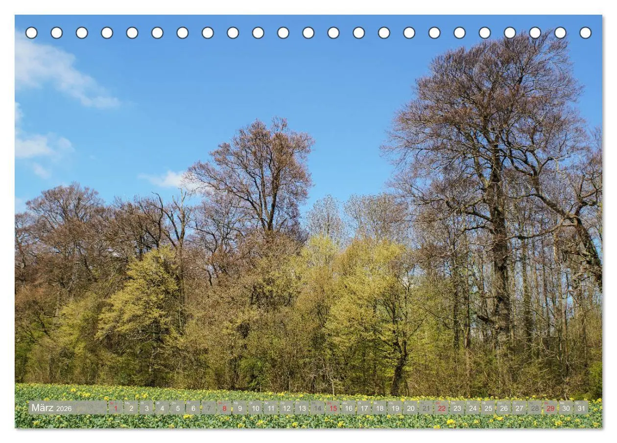 Bild: 9783457825556 | Münsterland - Vielfältige Schönheit (Tischkalender 2026 DIN A5...
