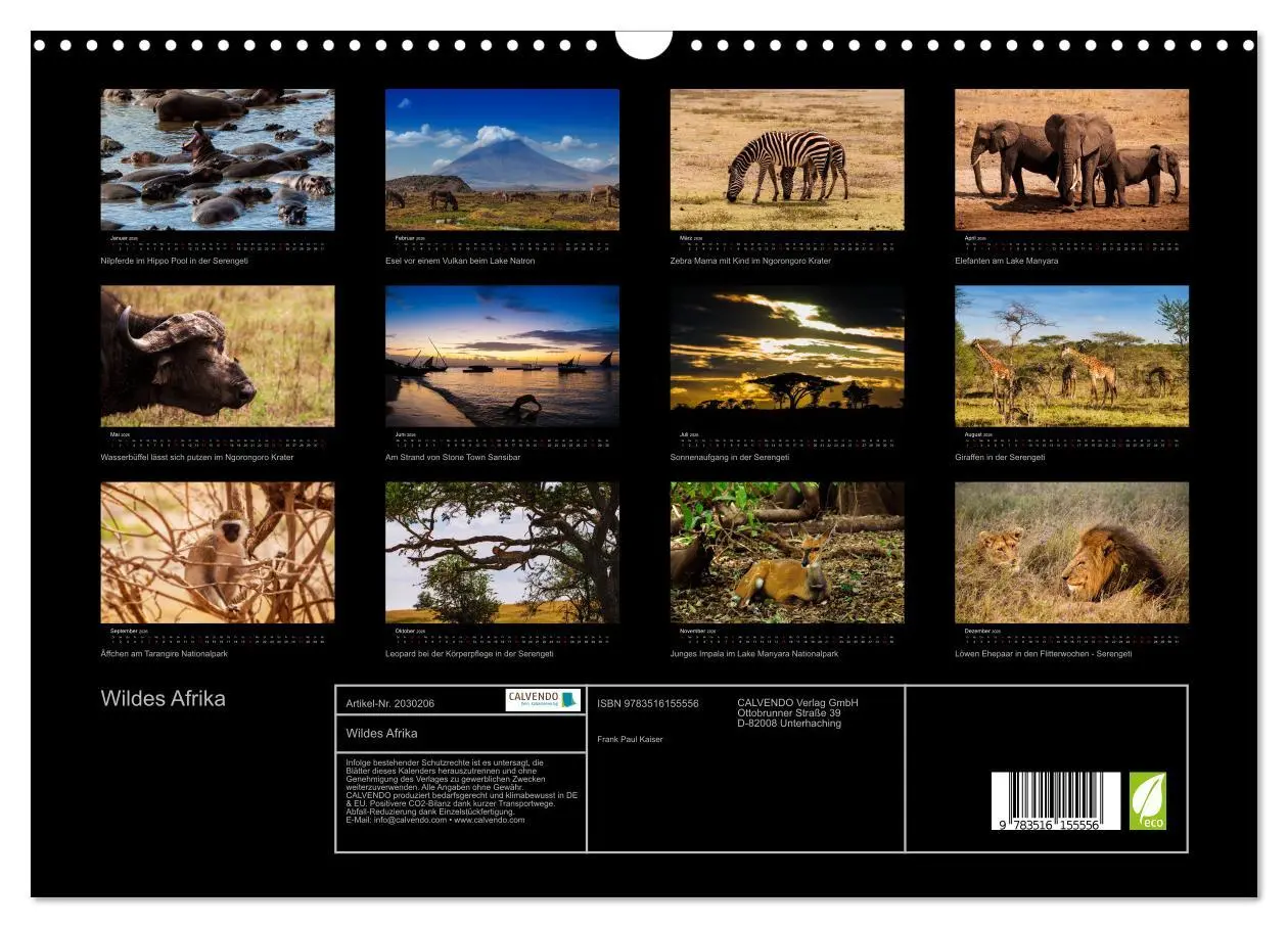 Bild: 9783516155556 | Wildes Afrika (Wandkalender 2026 DIN A3 quer), CALVENDO Monatskalender