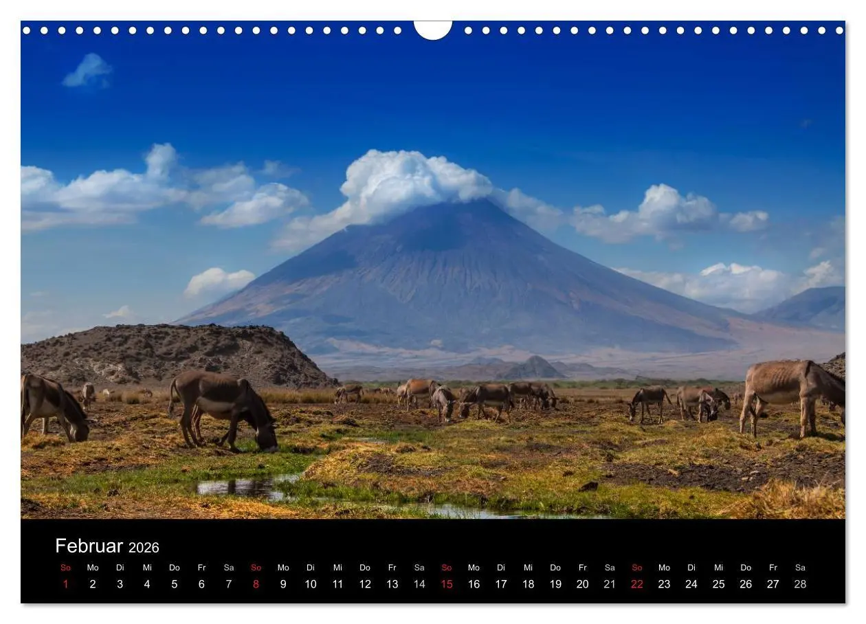 Bild: 9783516155556 | Wildes Afrika (Wandkalender 2026 DIN A3 quer), CALVENDO Monatskalender