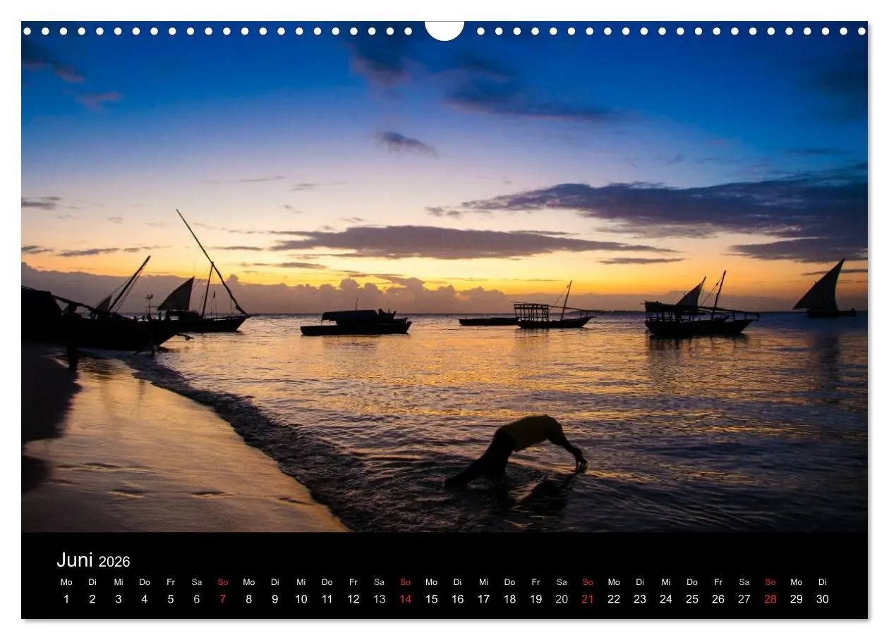 Bild: 9783516155556 | Wildes Afrika (Wandkalender 2026 DIN A3 quer), CALVENDO Monatskalender