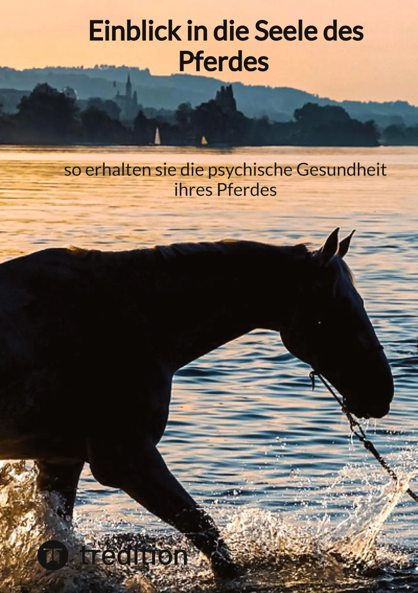 Cover: 9783347855656 | Einblick in die Seele des Pferdes - so erhalten sie die psychische...