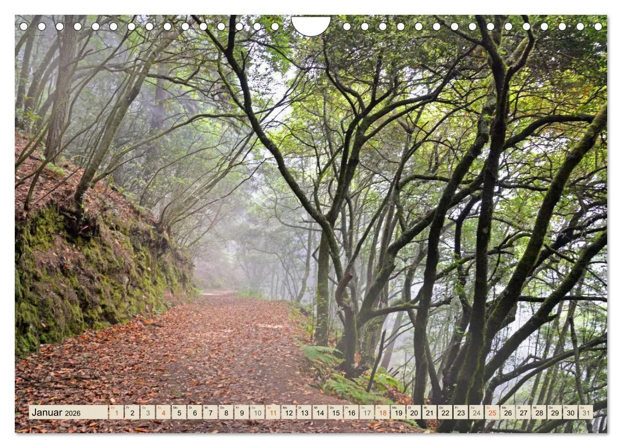 Bild: 9783457675656 | Magic Moments - LA PALMA (Wandkalender 2026 DIN A4 quer), CALVENDO...