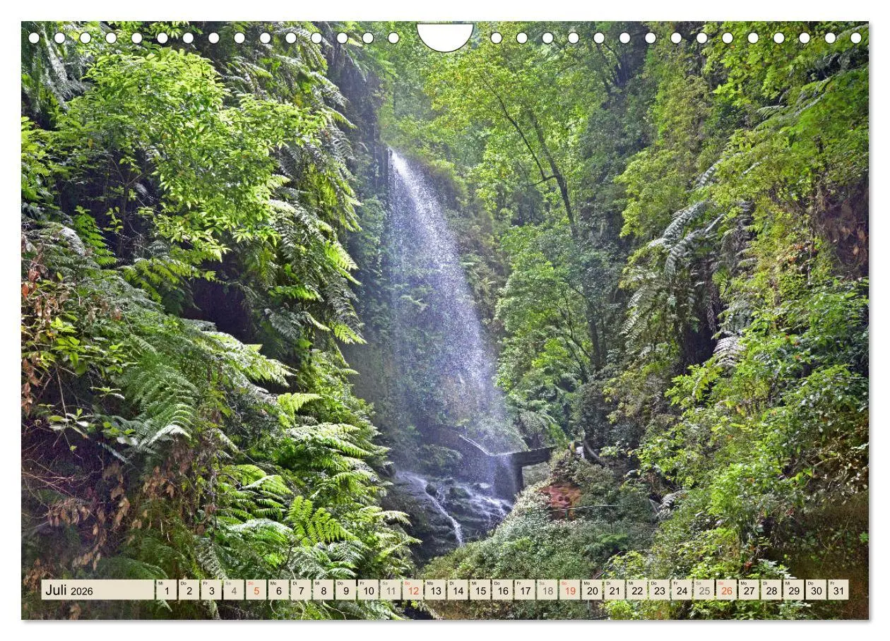 Bild: 9783457675656 | Magic Moments - LA PALMA (Wandkalender 2026 DIN A4 quer), CALVENDO...