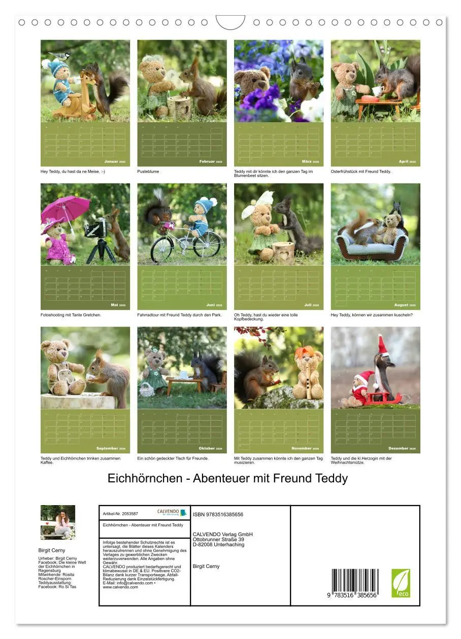 Bild: 9783516385656 | Eichhörnchen - Abenteuer mit Freund Teddy (Wandkalender 2026 DIN A3...