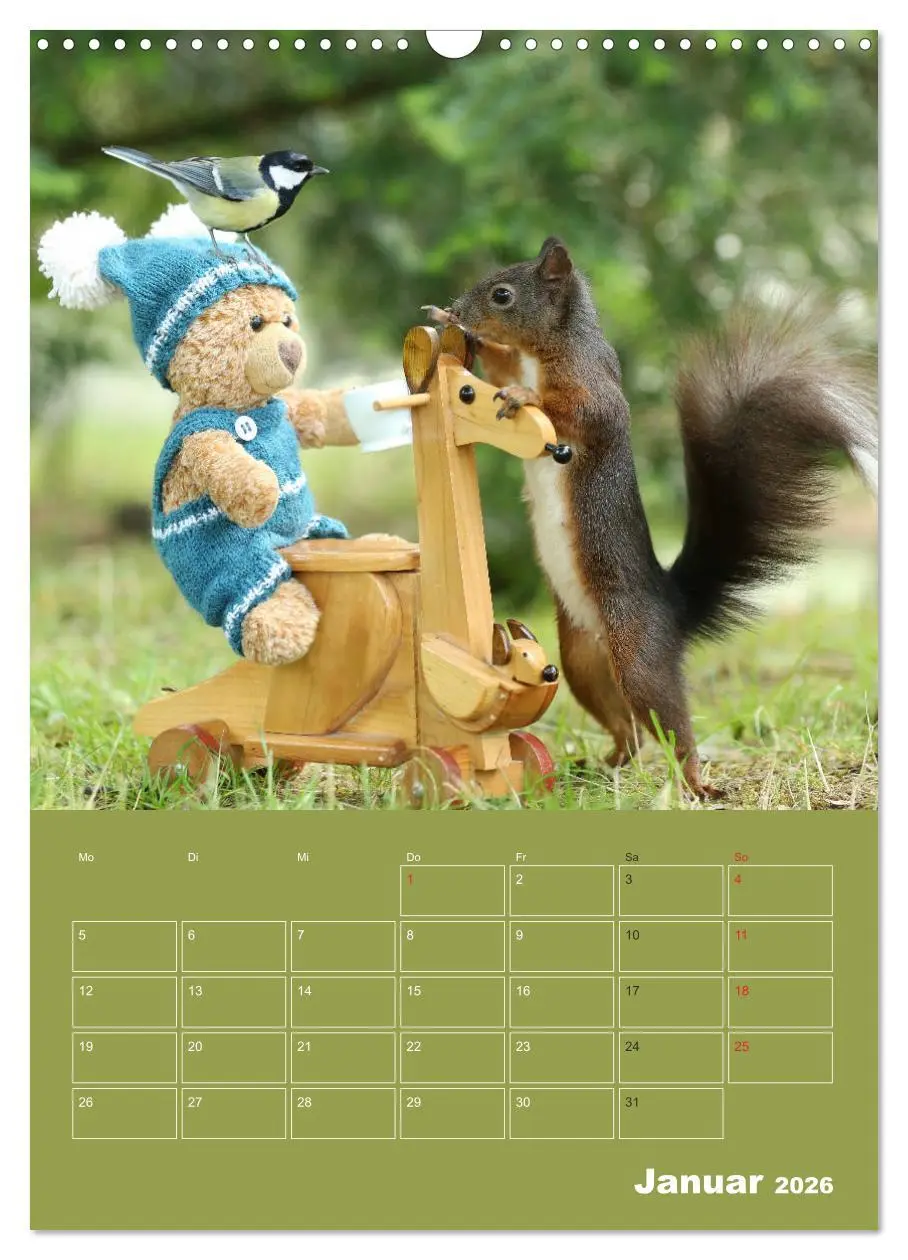 Bild: 9783516385656 | Eichhörnchen - Abenteuer mit Freund Teddy (Wandkalender 2026 DIN A3...