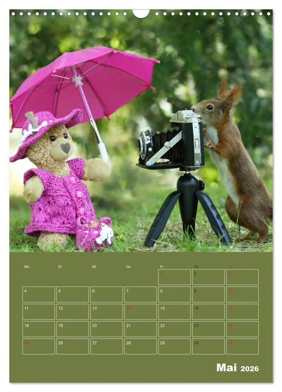 Bild: 9783516385656 | Eichhörnchen - Abenteuer mit Freund Teddy (Wandkalender 2026 DIN A3...