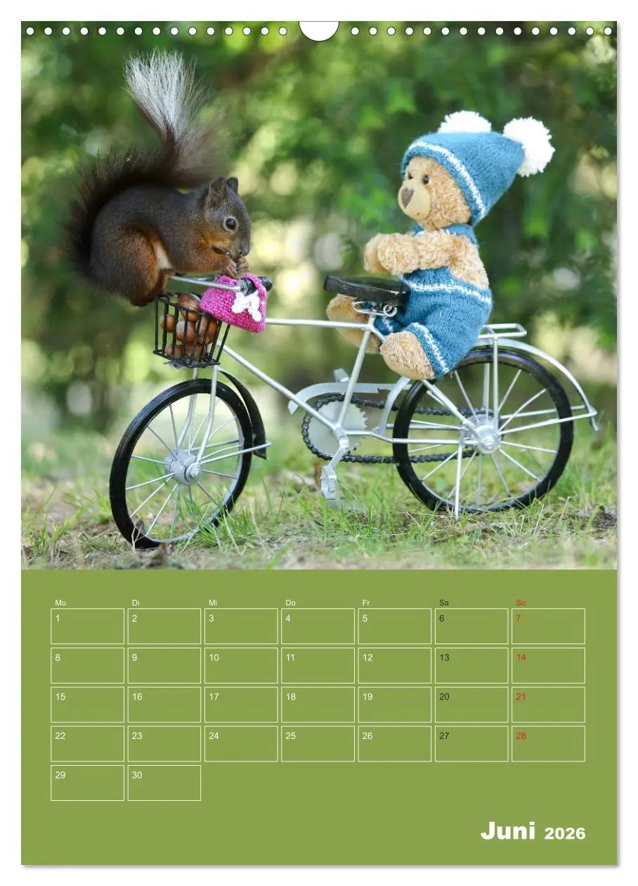 Bild: 9783516385656 | Eichhörnchen - Abenteuer mit Freund Teddy (Wandkalender 2026 DIN A3...