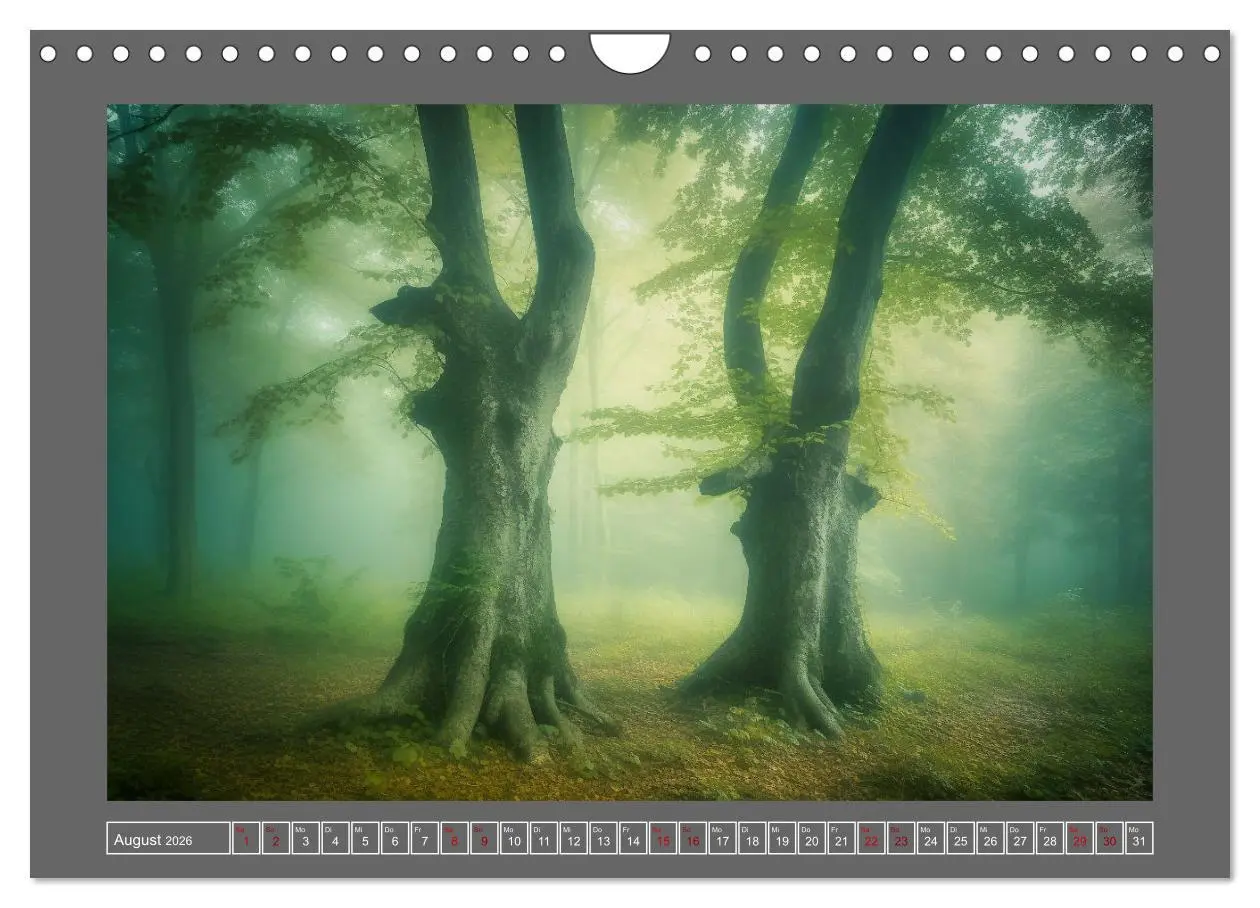 Bild: 9783457355756 | Träumereien in Grün (Wandkalender 2026 DIN A4 quer), CALVENDO...