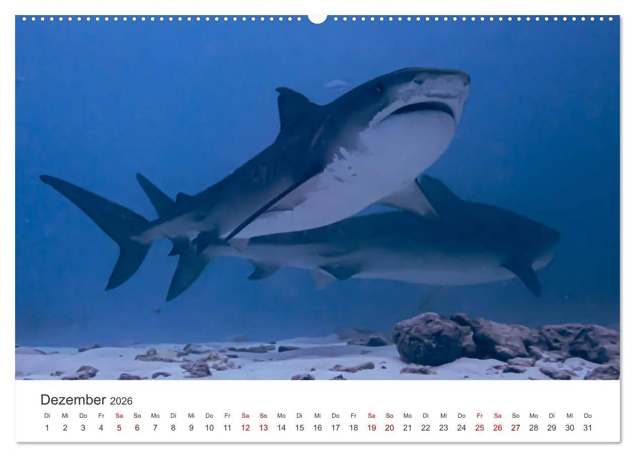 Bild: 9783457425756 | Faszination blaue Welt (hochwertiger Premium Wandkalender 2026 DIN...