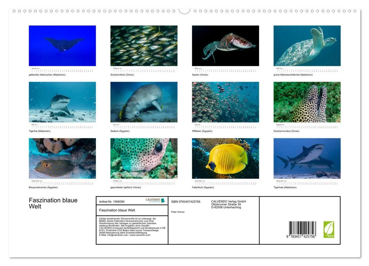 Bild: 9783457425756 | Faszination blaue Welt (hochwertiger Premium Wandkalender 2026 DIN...