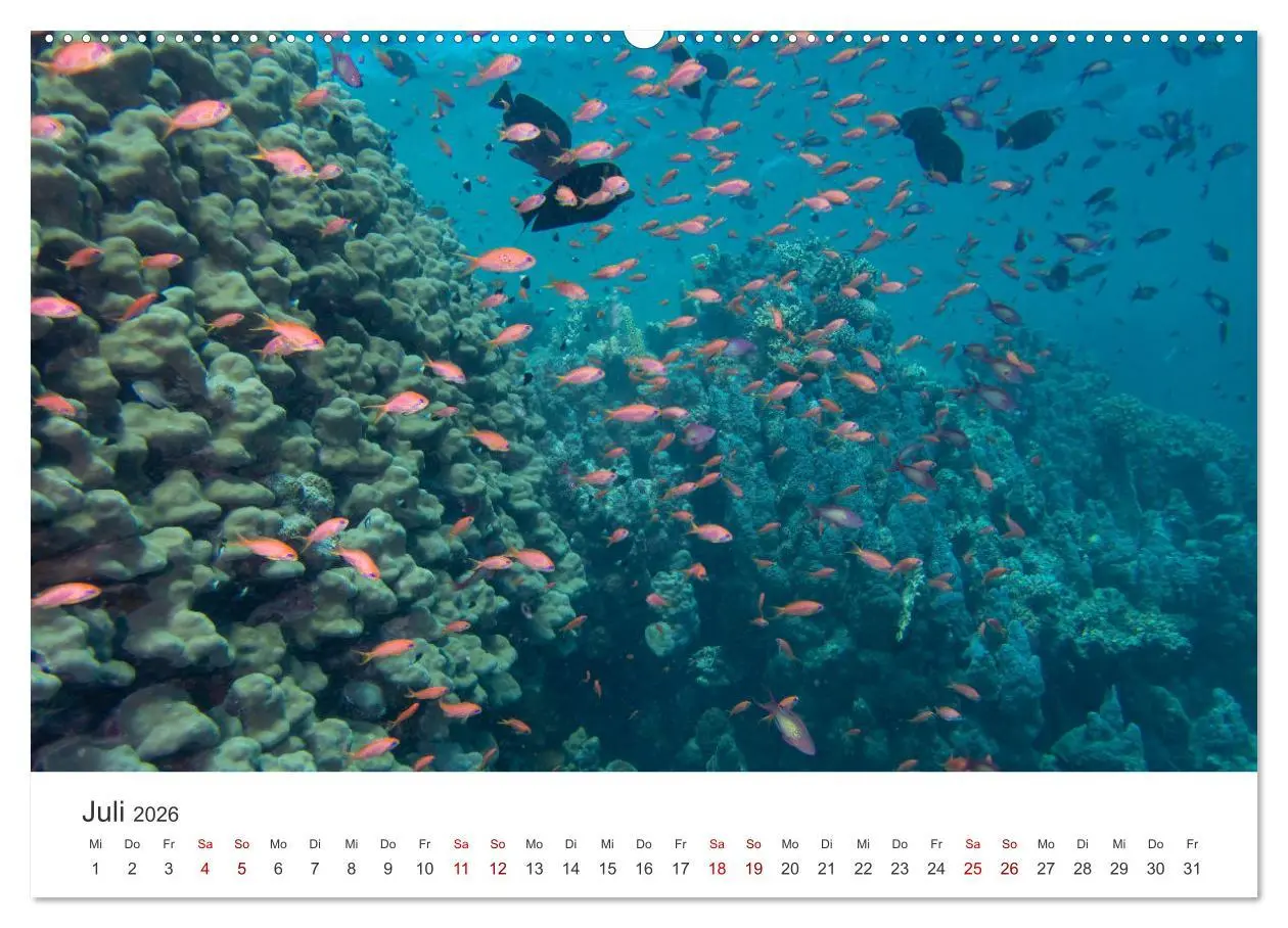 Bild: 9783457425756 | Faszination blaue Welt (hochwertiger Premium Wandkalender 2026 DIN...