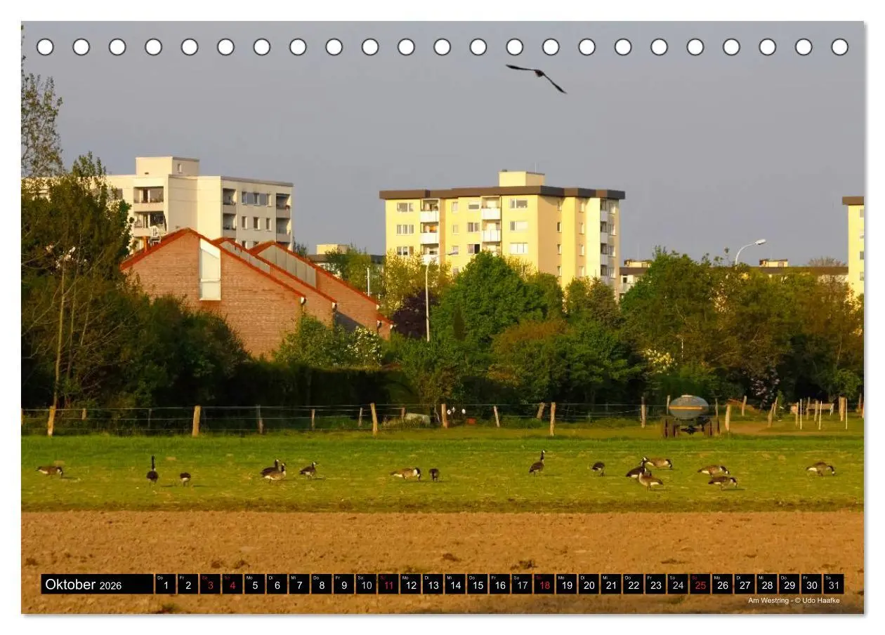 Bild: 9783516065756 | Hildener Bilderbogen 2026 (Tischkalender 2026 DIN A5 quer),...
