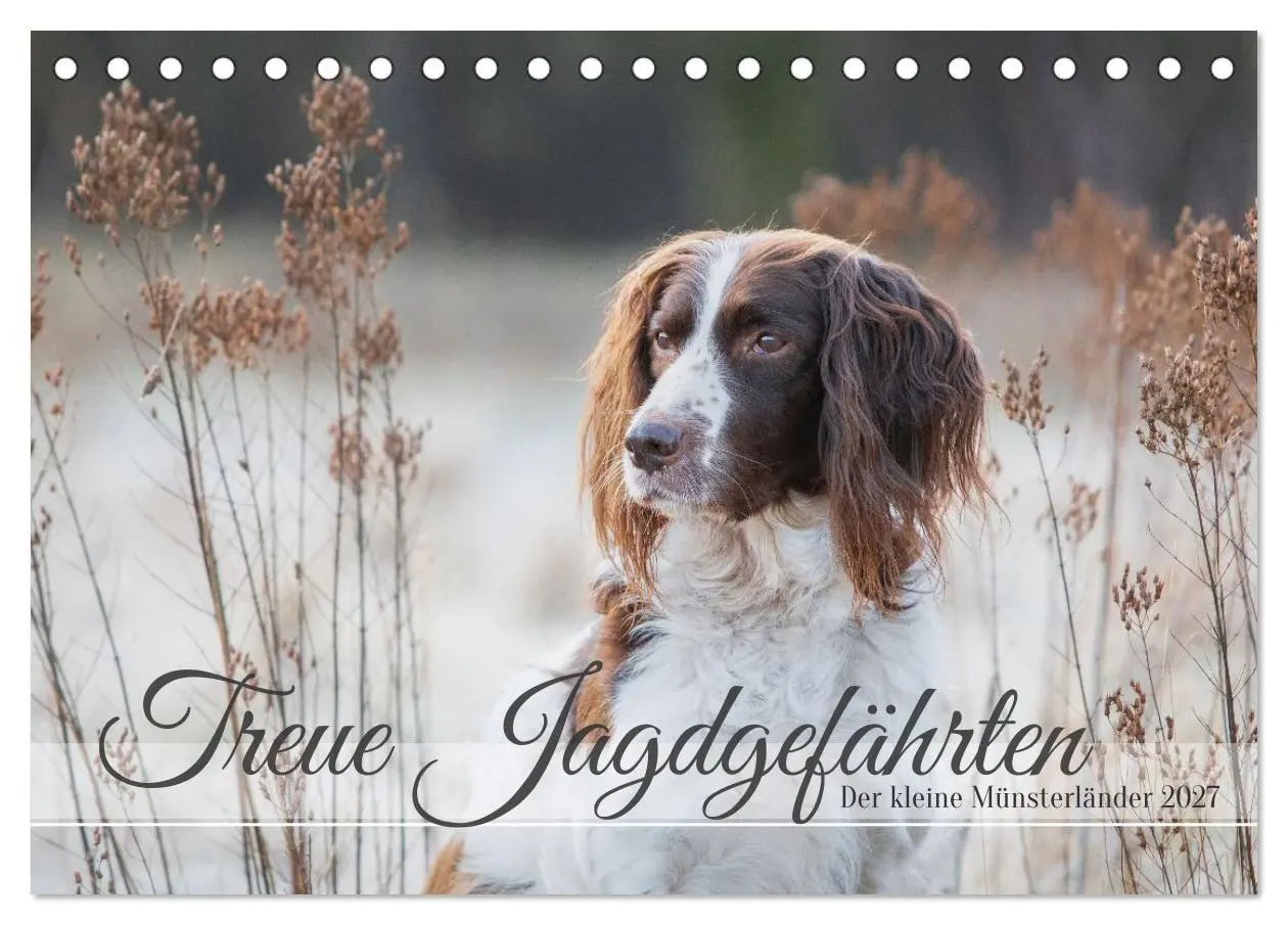 Cover: 9783569085756 | Treue Jagdgefährten Der kleine Münsterländer (Tischkalender 2027...