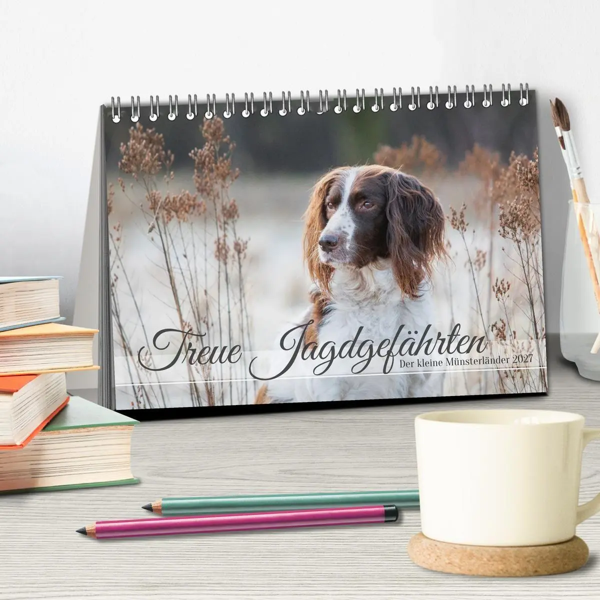 Bild: 9783569085756 | Treue Jagdgefährten Der kleine Münsterländer (Tischkalender 2027...