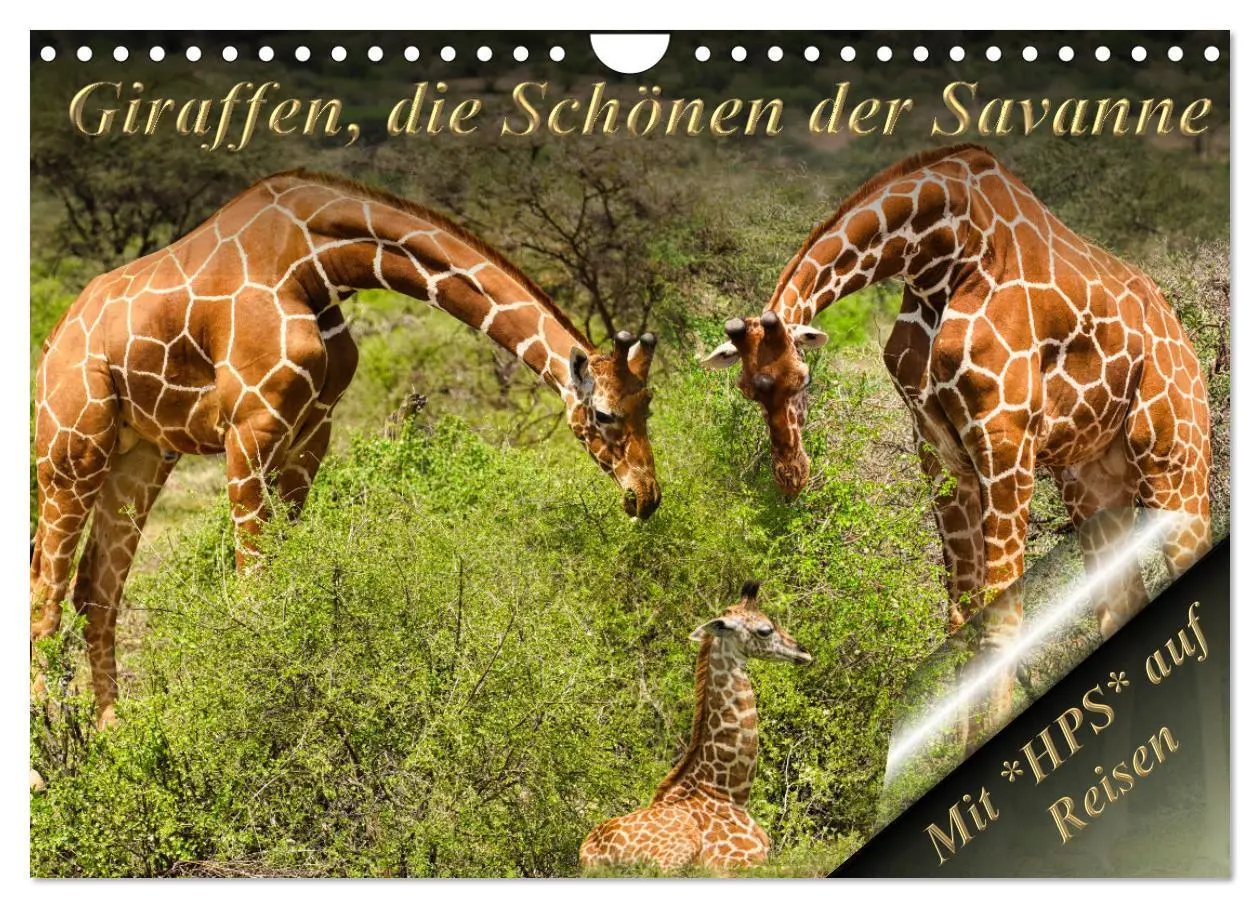 Cover: 9783457655856 | Giraffen, die Schönen der Savanne (Wandkalender 2026 DIN A4 quer),...
