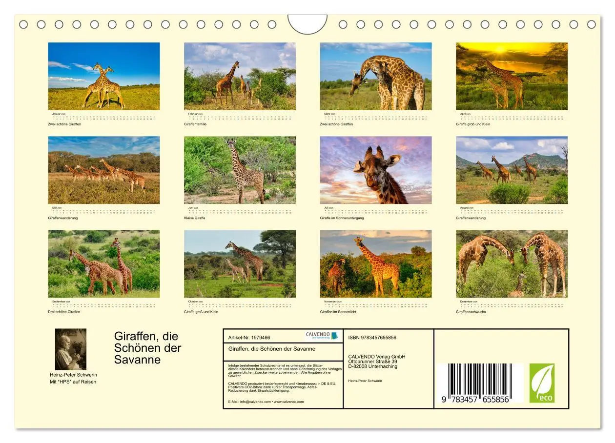 Bild: 9783457655856 | Giraffen, die Schönen der Savanne (Wandkalender 2026 DIN A4 quer),...