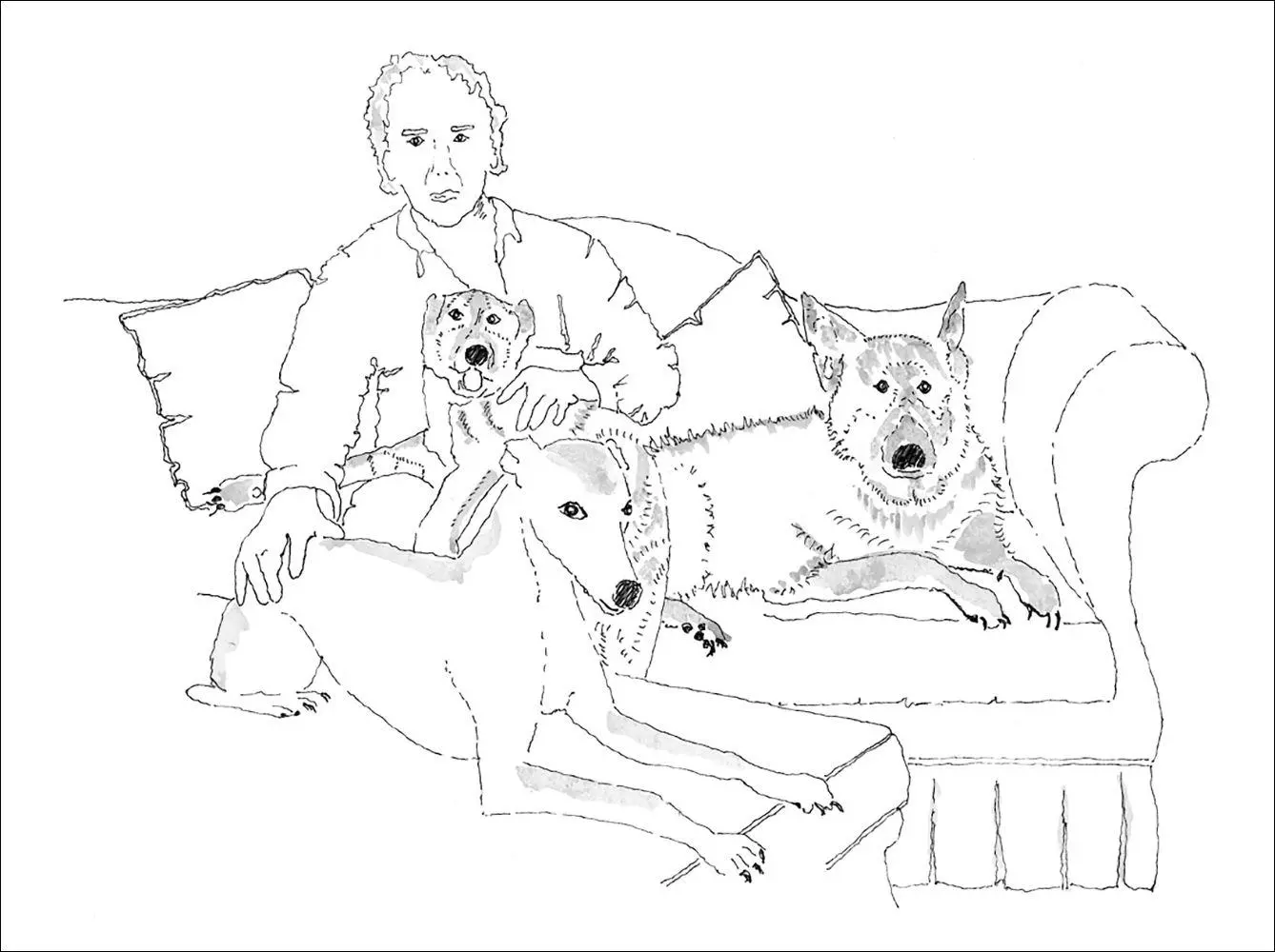 Bild: 9783458645856 | Penny, Prince und Ginny | Die Hunde meines Lebens | Brian Sewell