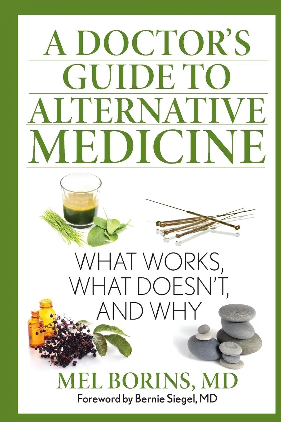 Cover: 9781493005956 | A Doctor's Guide to Alternative Medicine | Mel Borins | Taschenbuch