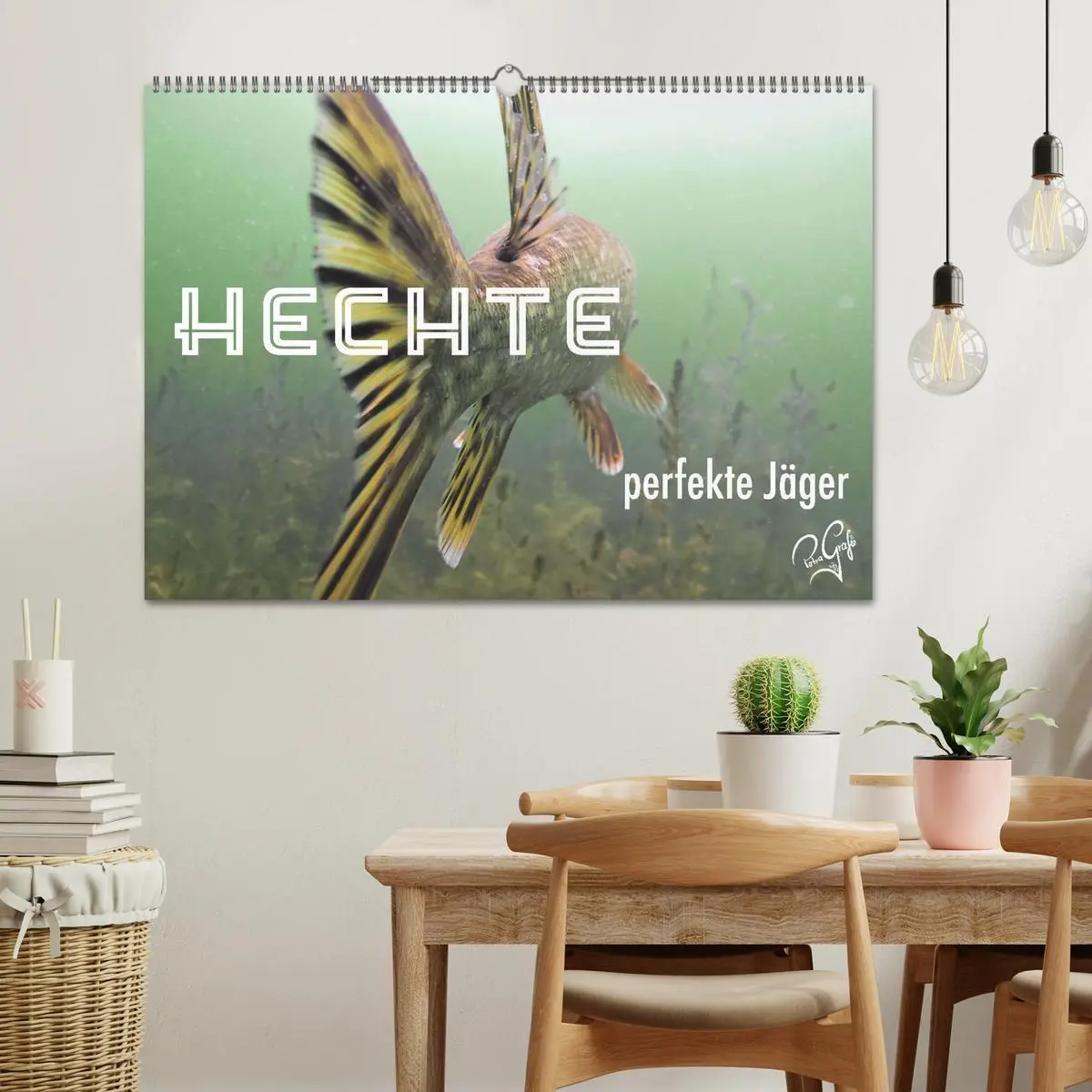 Bild: 9783457645956 | Hechte - perfekte Jäger (Wandkalender 2026 DIN A2 quer), CALVENDO...