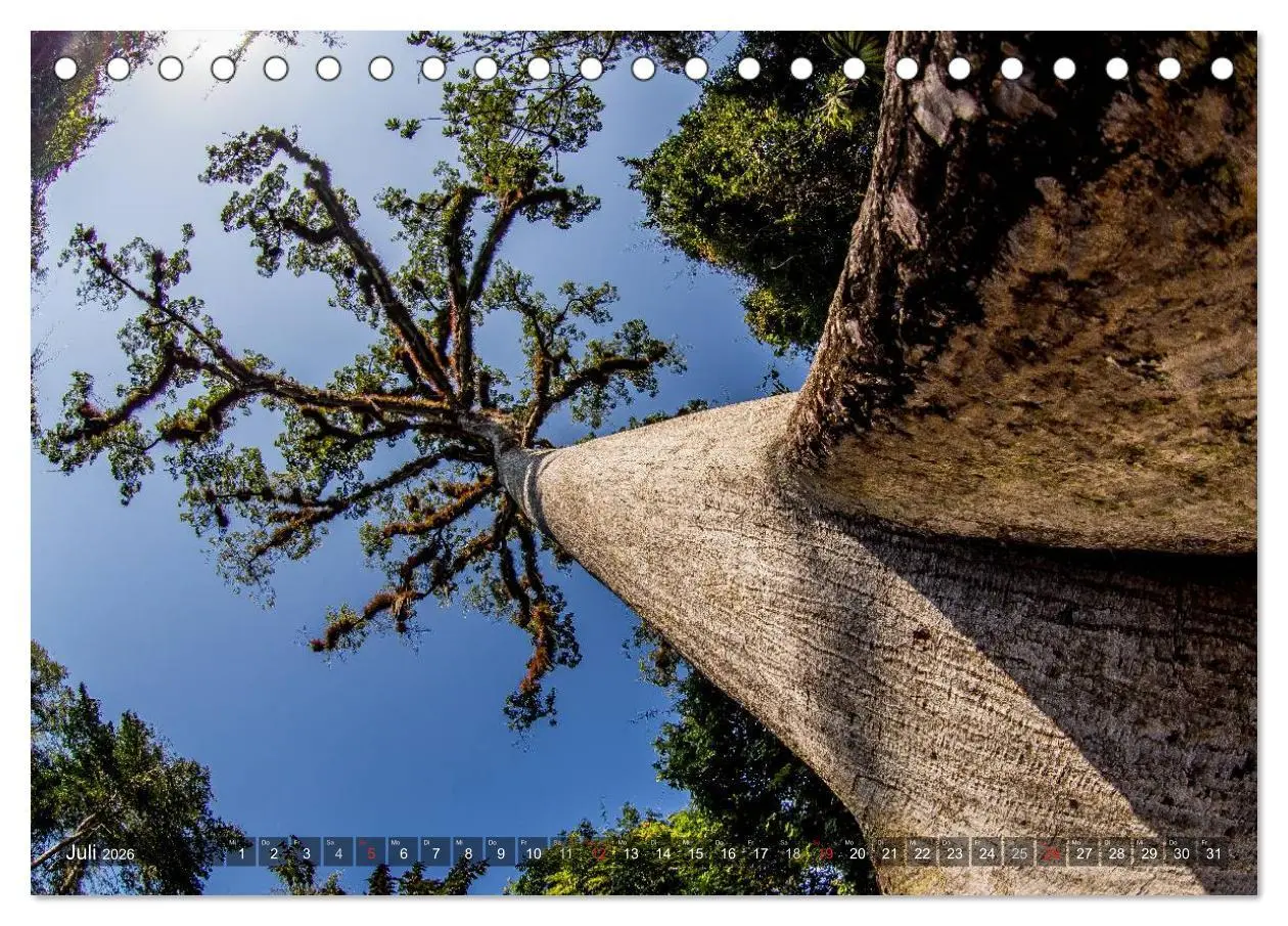 Bild: 9783457955956 | Belize - Guatemala (Tischkalender 2026 DIN A5 quer), CALVENDO...
