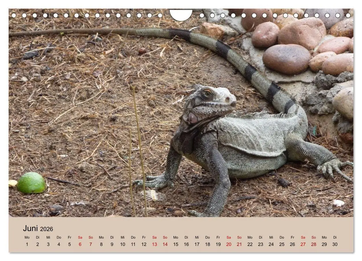 Bild: 9783516735956 | Venezuela - Natur pur Orinoco Delta und die Anden (Wandkalender...