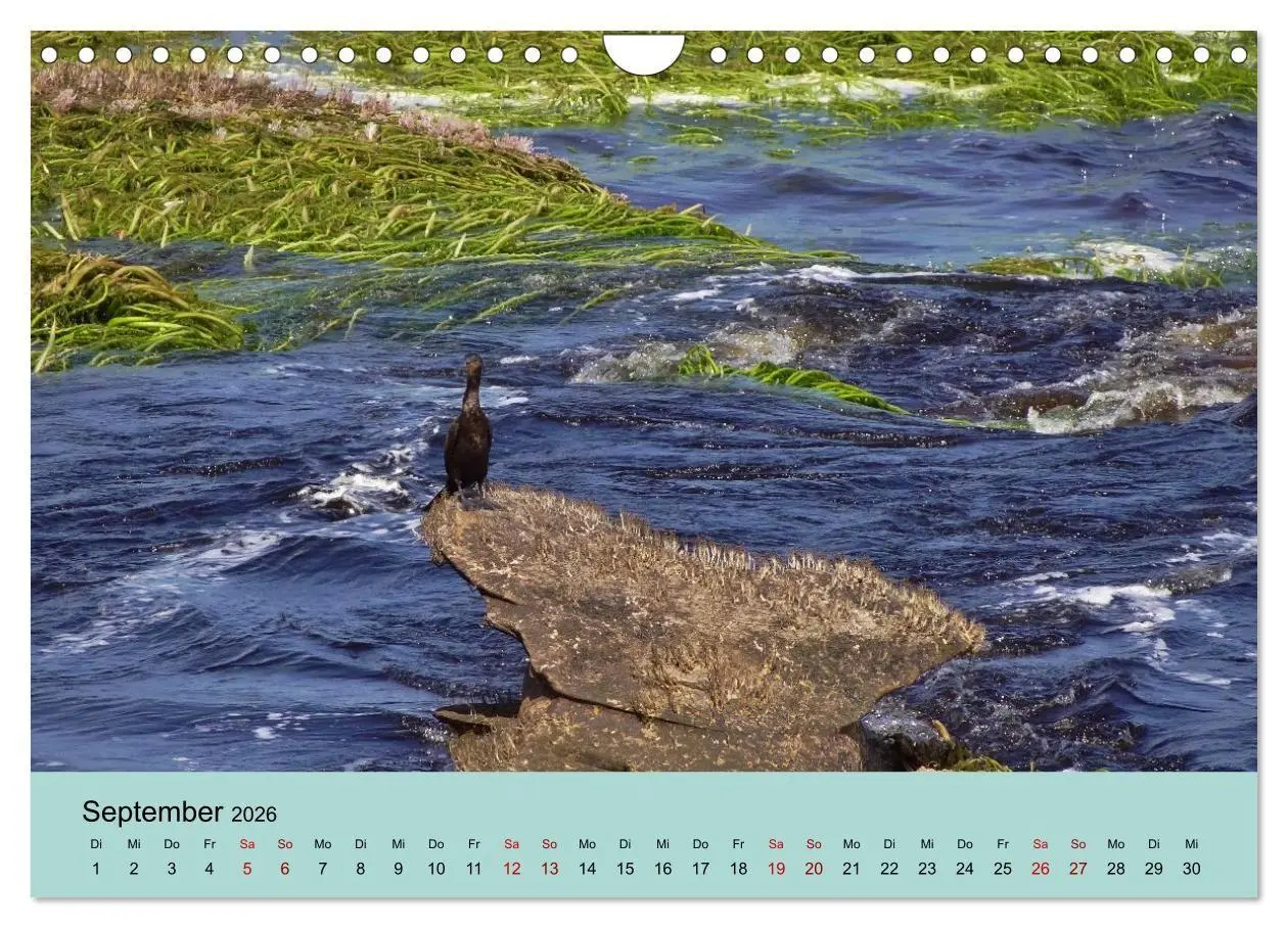 Bild: 9783516735956 | Venezuela - Natur pur Orinoco Delta und die Anden (Wandkalender...