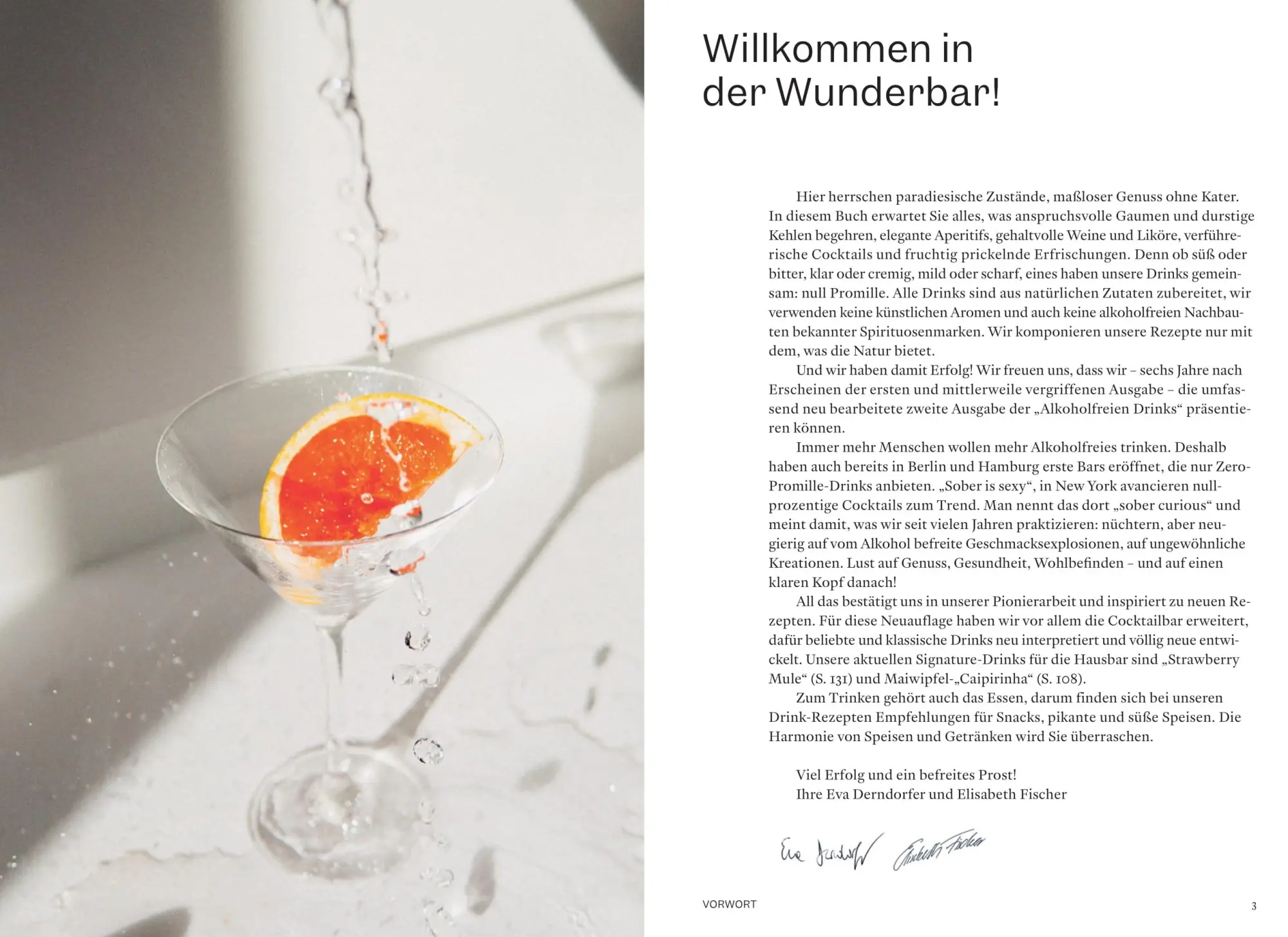 Bild: 9783710605956 | Alkoholfreie Drinks | Natürlich. Erfrischend. Gesund | Buch | 184 S.