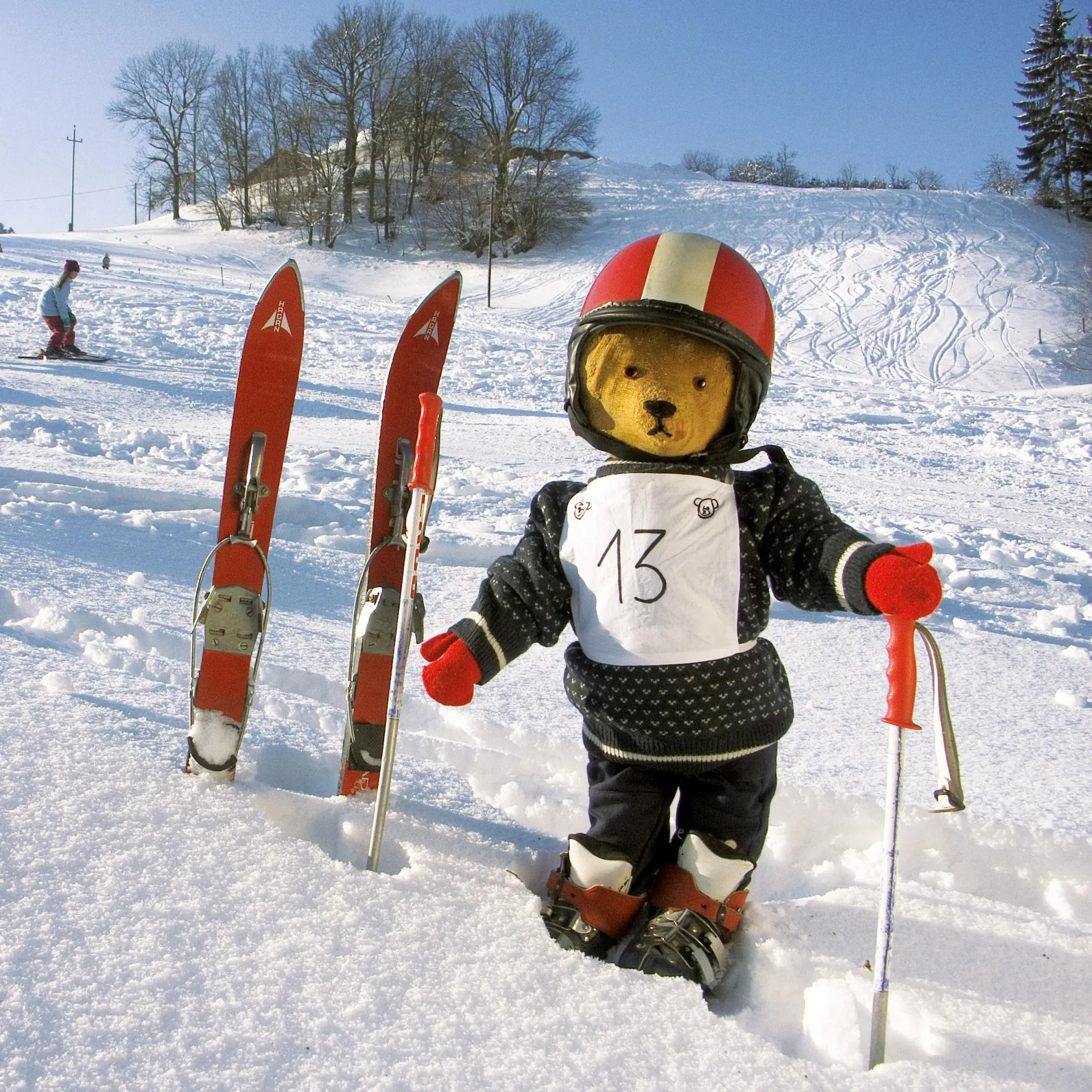 Bild: 9783959295956 | Teddys Welt/Teddy's World 2026 | Kalender 2026 | Kalender | 28 S.