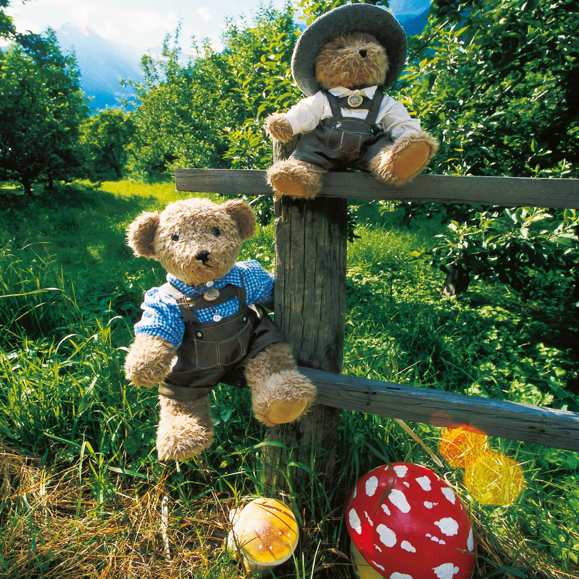 Bild: 9783959295956 | Teddys Welt/Teddy's World 2026 | Kalender 2026 | Kalender | 28 S.