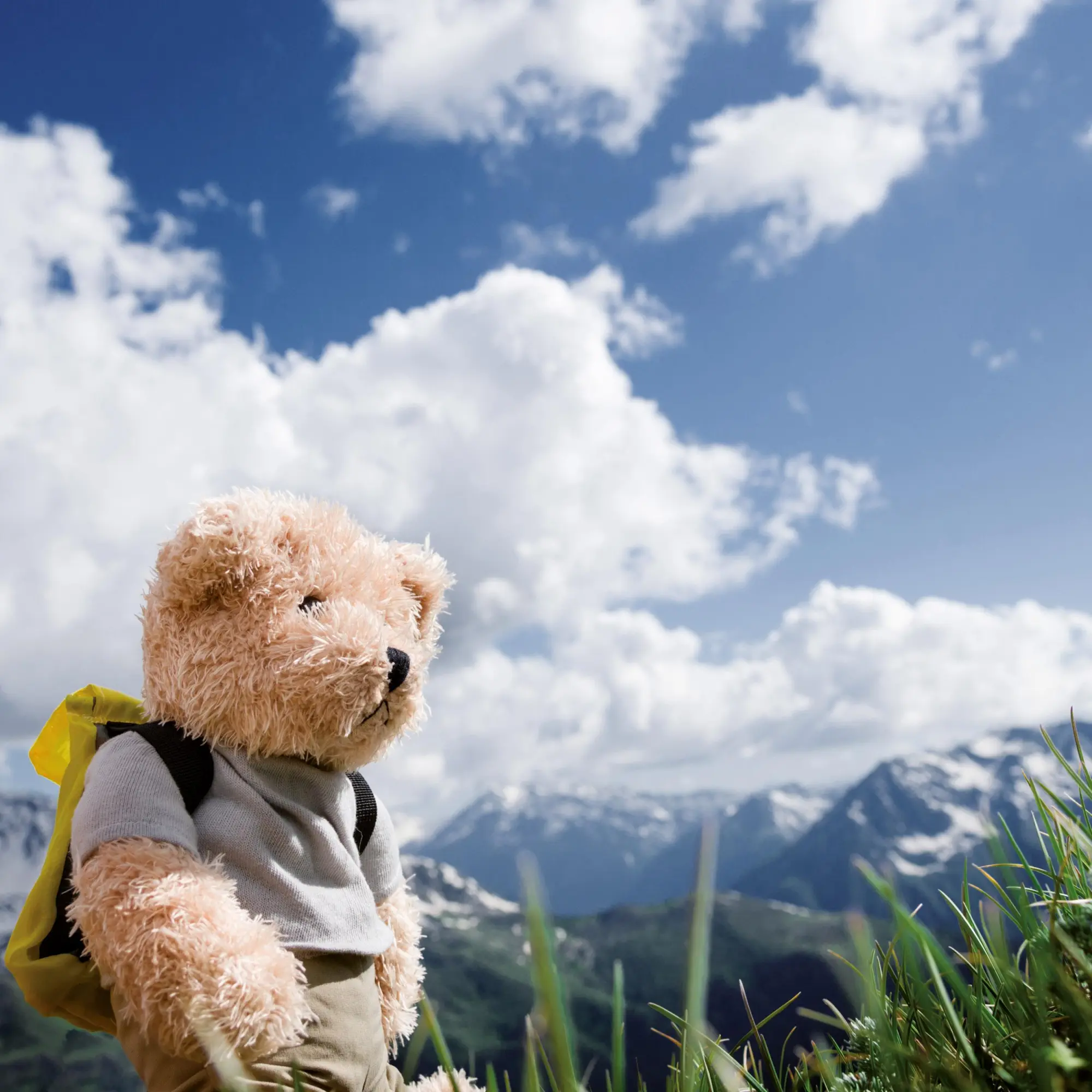 Bild: 9783959295956 | Teddys Welt/Teddy's World 2026 | Kalender 2026 | Kalender | 28 S.