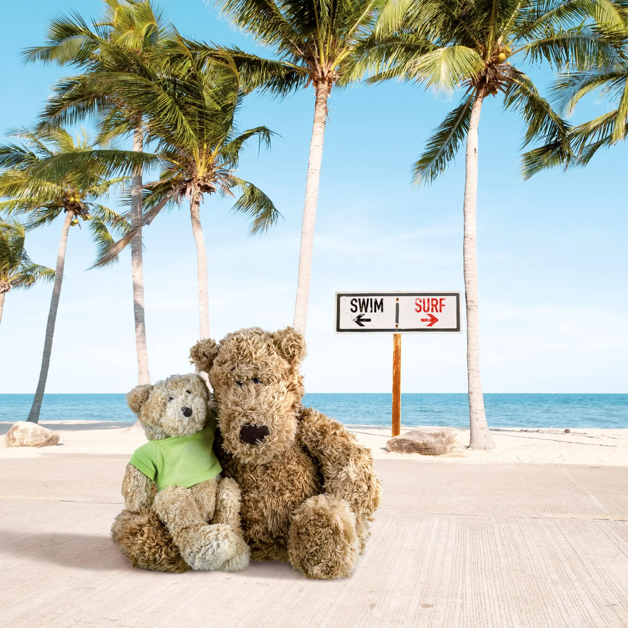 Bild: 9783959295956 | Teddys Welt/Teddy's World 2026 | Kalender 2026 | Kalender | 28 S.