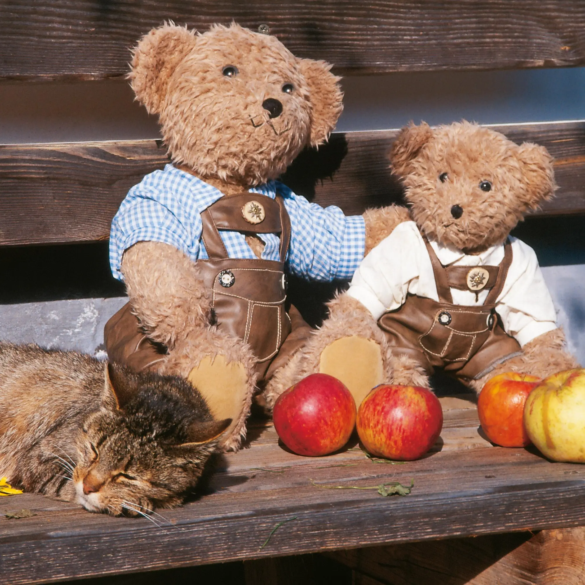 Bild: 9783959295956 | Teddys Welt/Teddy's World 2026 | Kalender 2026 | Kalender | 28 S.