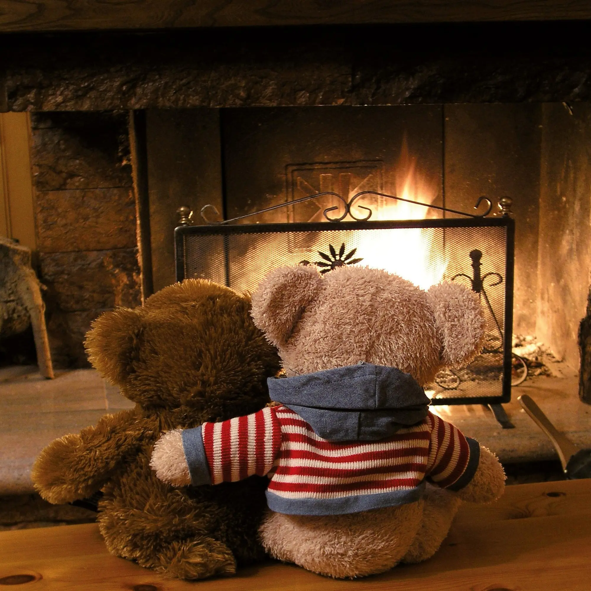 Bild: 9783959295956 | Teddys Welt/Teddy's World 2026 | Kalender 2026 | Kalender | 28 S.