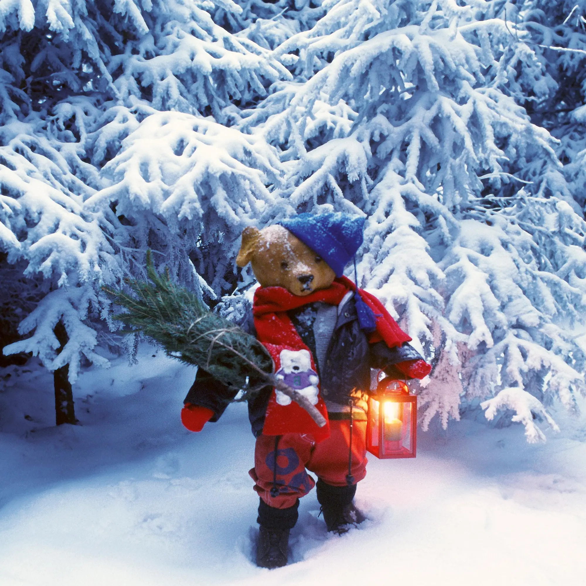 Bild: 9783959295956 | Teddys Welt/Teddy's World 2026 | Kalender 2026 | Kalender | 28 S.