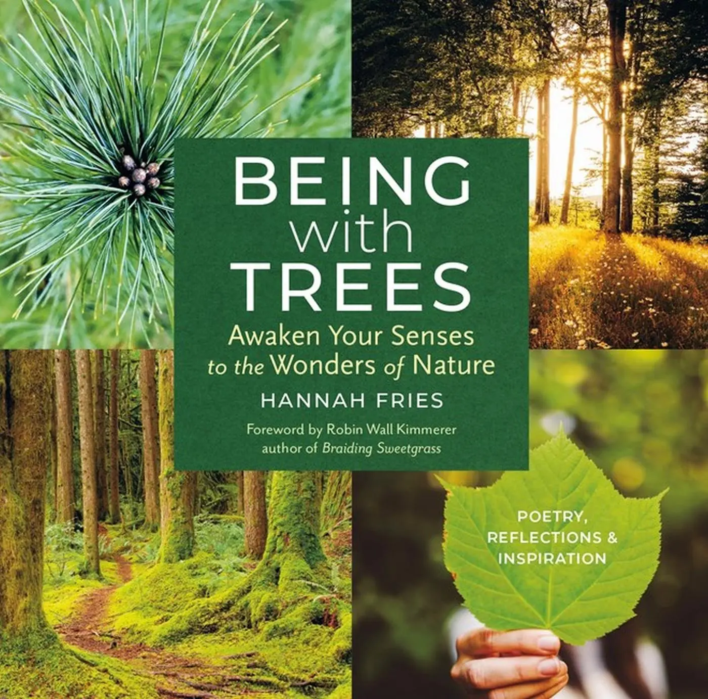 Cover: 9781635866056 | Being with Trees | Hannah Fries | Taschenbuch | Englisch | 2022