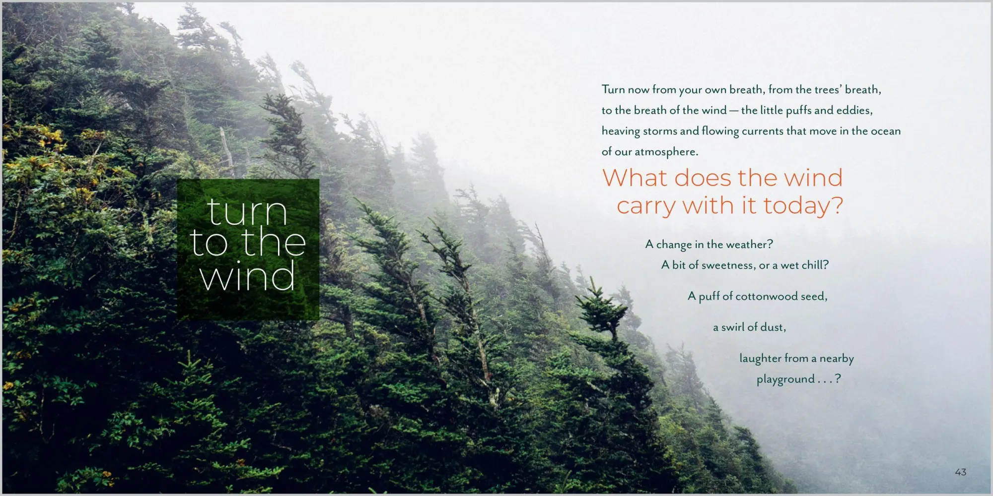 Bild: 9781635866056 | Being with Trees | Hannah Fries | Taschenbuch | Englisch | 2022