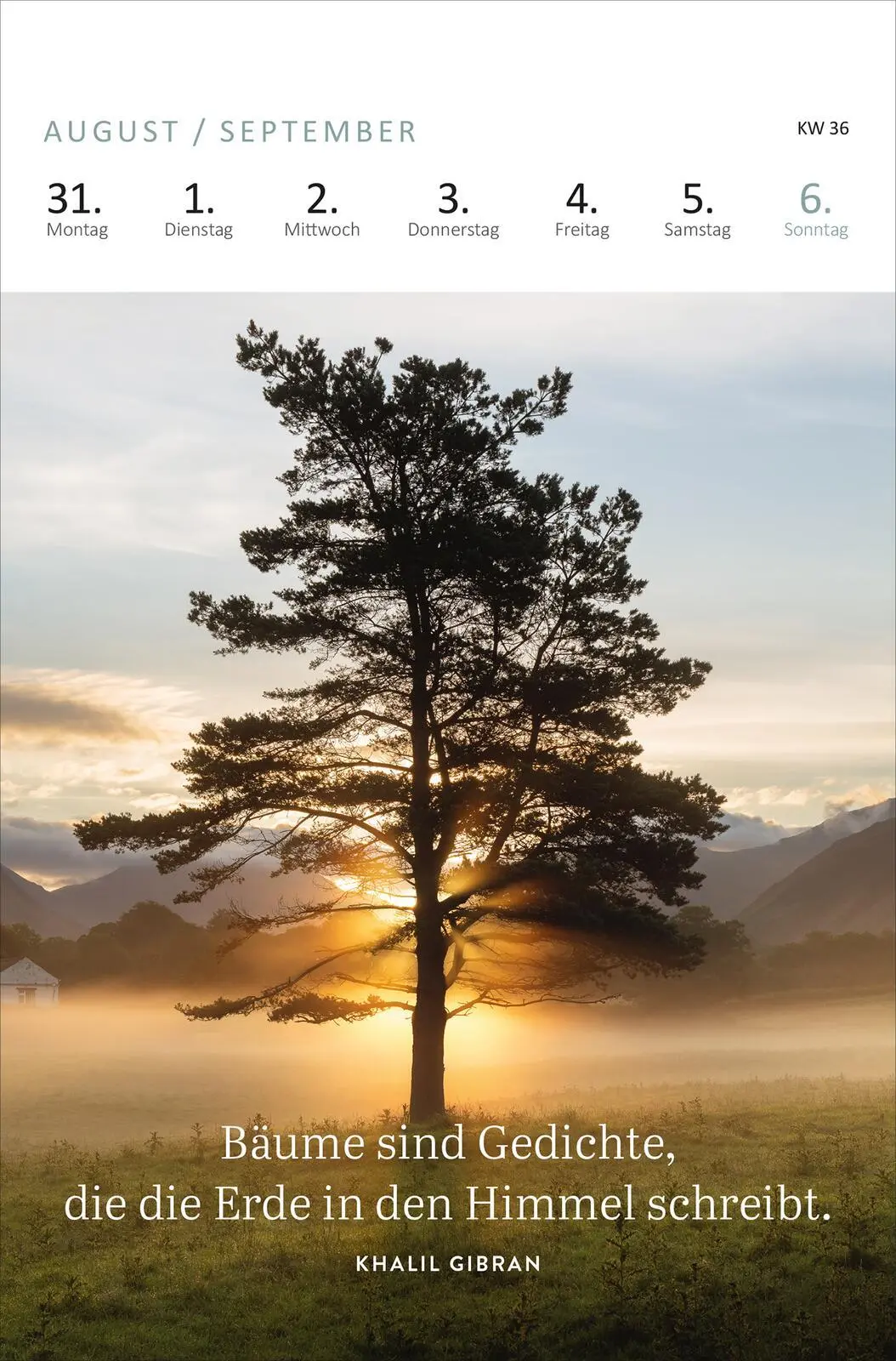 Bild: 4014489136156 | Wochenkalender Wald, Wiese &amp; wunderbar 2026 | Kalender | 27 S. | 2026
