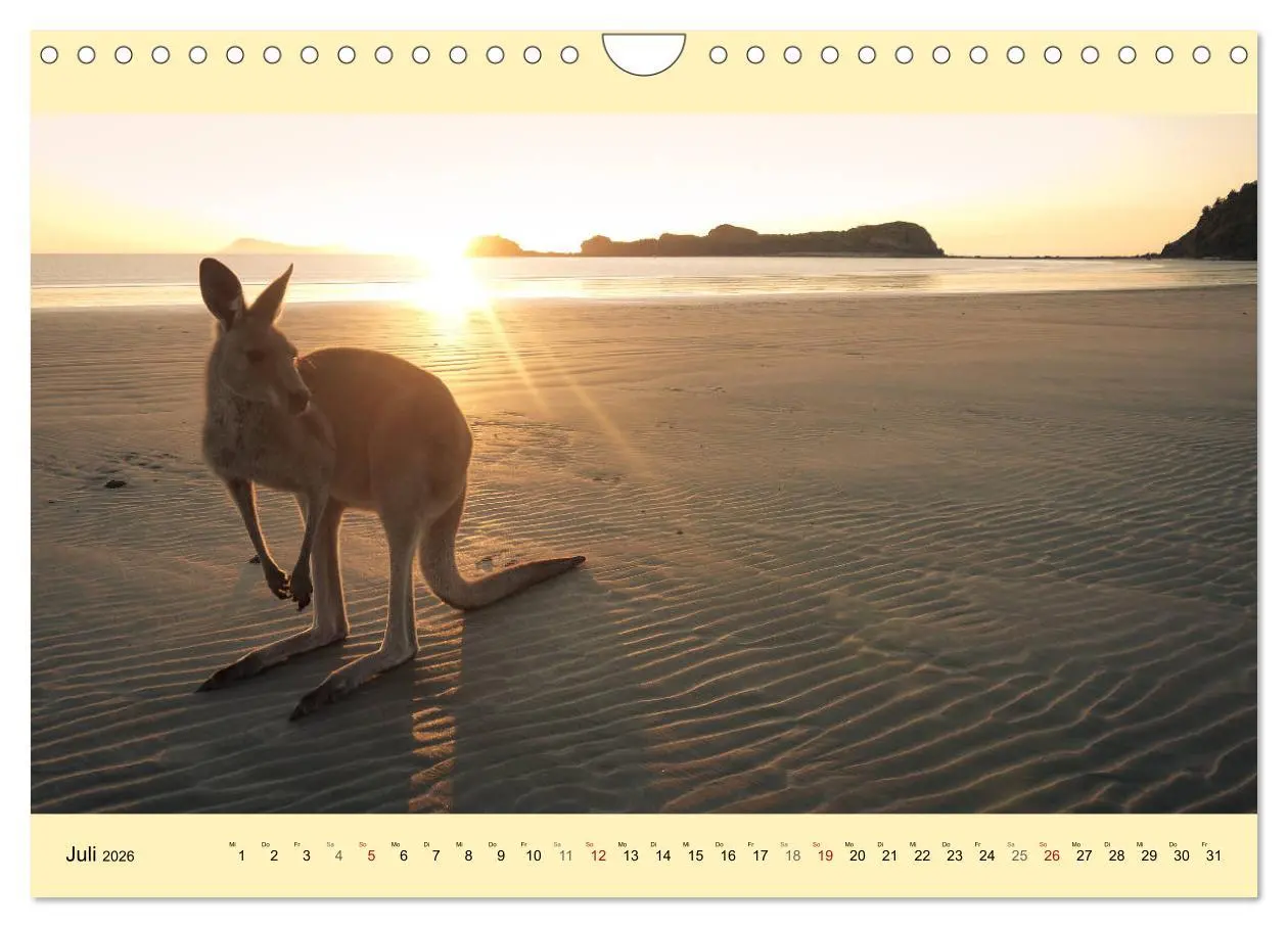 Bild: 9783516236156 | Australien - Der vielseitige Osten (Wandkalender 2026 DIN A4 quer),...