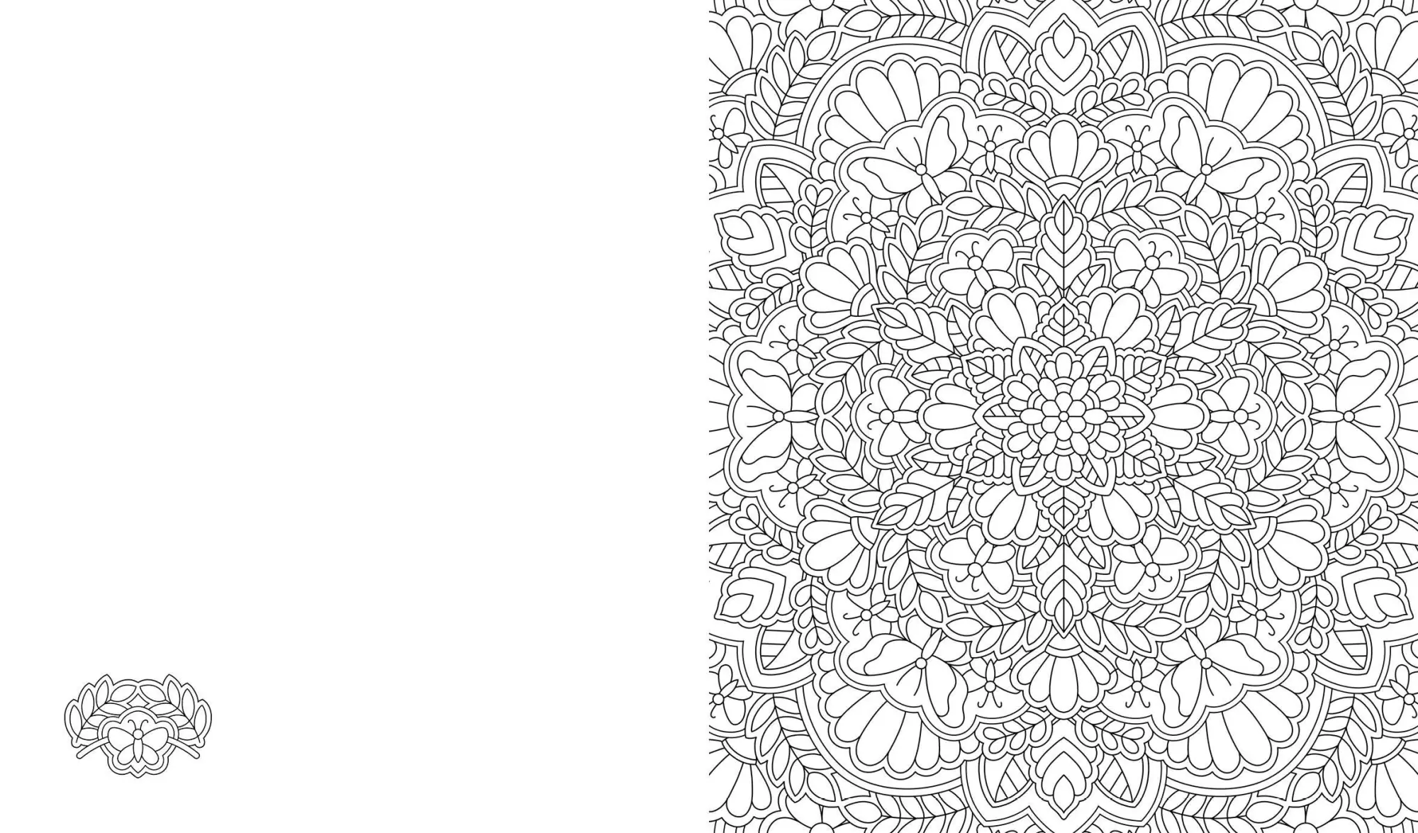 Bild: 9783745926156 | Meine Ausmalpause: Mandala Inselparadies | Céline Silvana Ulrich