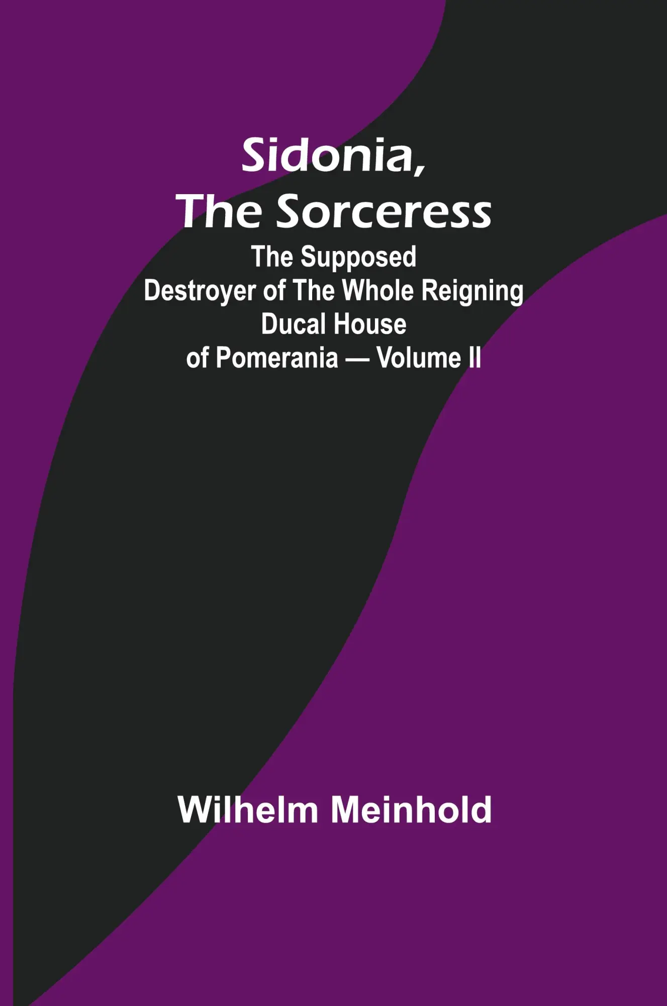 Cover: 9789357936156 | Sidonia, the Sorceress | Wilhelm Meinhold | Taschenbuch | Englisch
