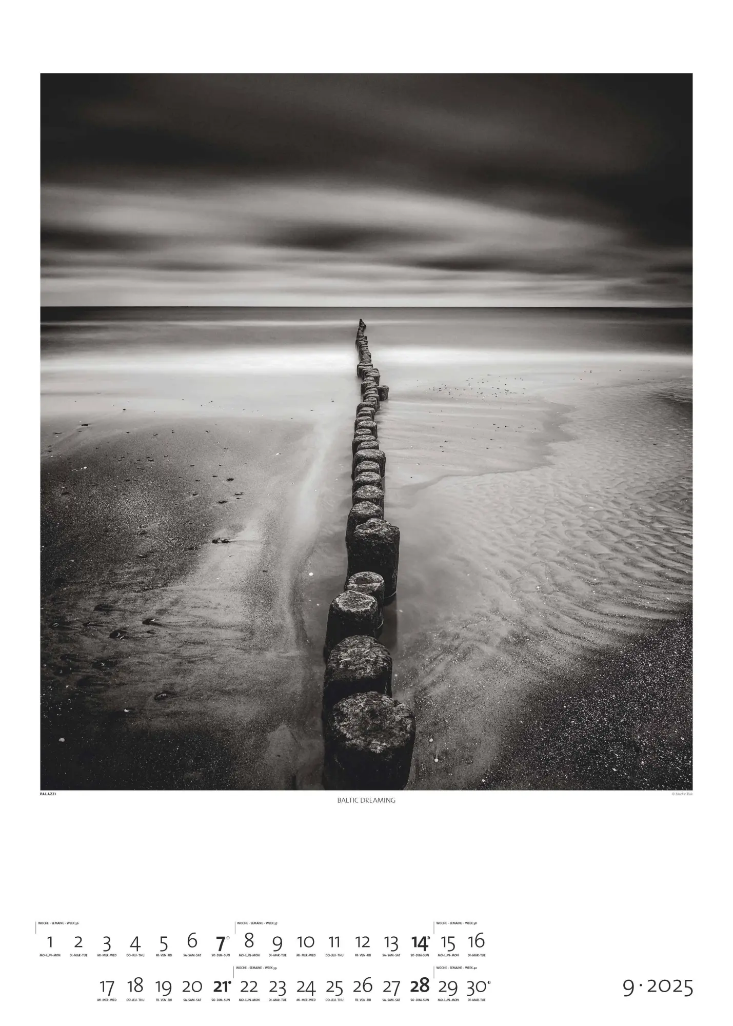 Bild: 4069095006256 | Black &amp; White 2026 - Bildkalender 50x70 cm - Wandkalender XL -...