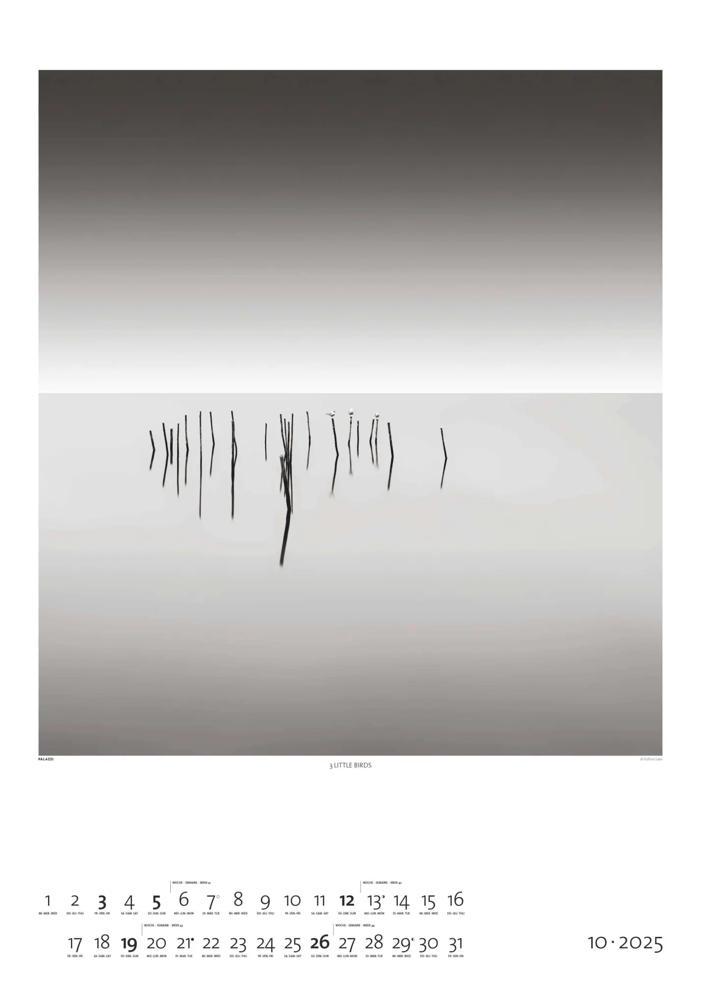 Bild: 4069095006256 | Black &amp; White 2026 - Bildkalender 50x70 cm - Wandkalender XL -...