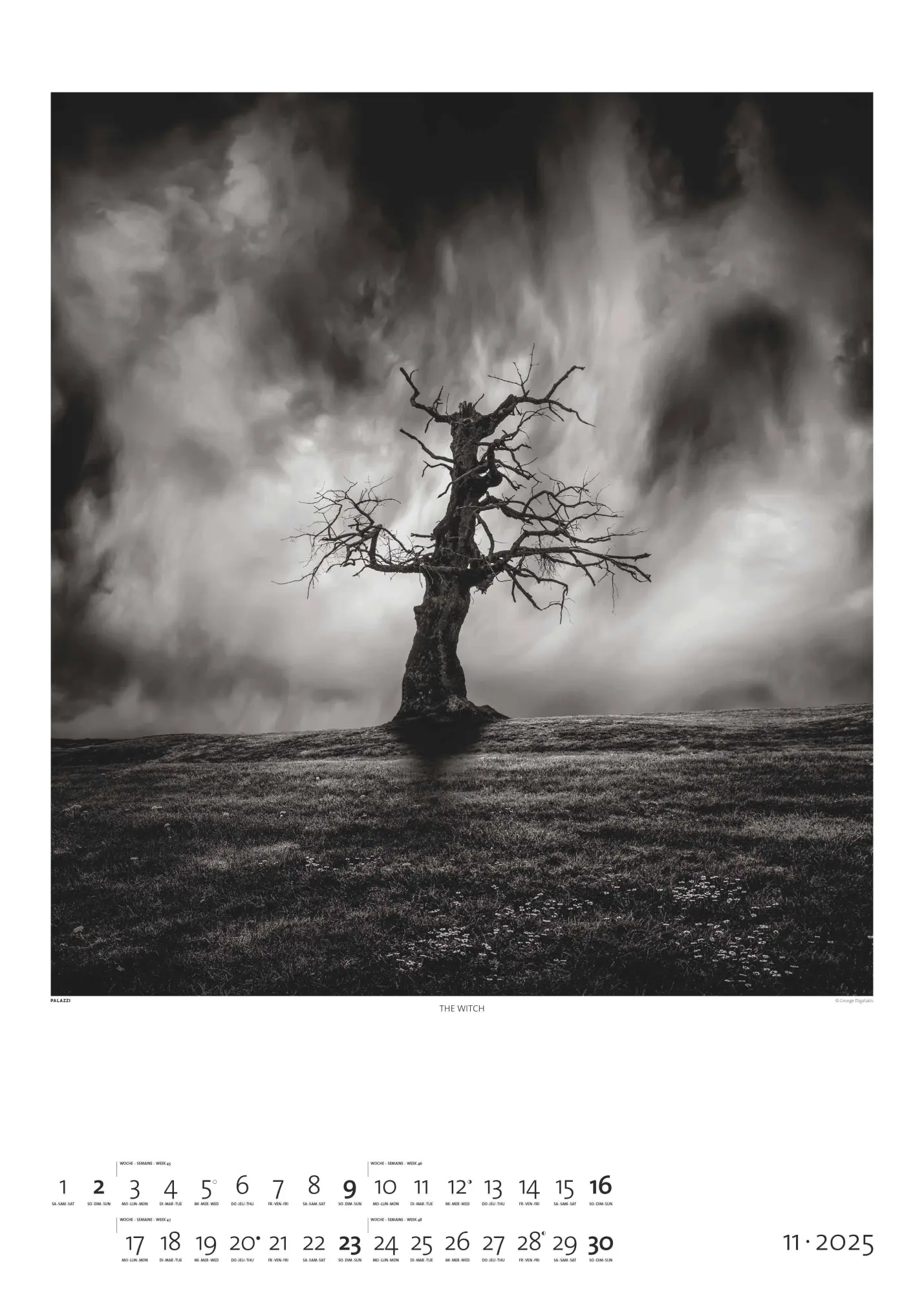 Bild: 4069095006256 | Black &amp; White 2026 - Bildkalender 50x70 cm - Wandkalender XL -...