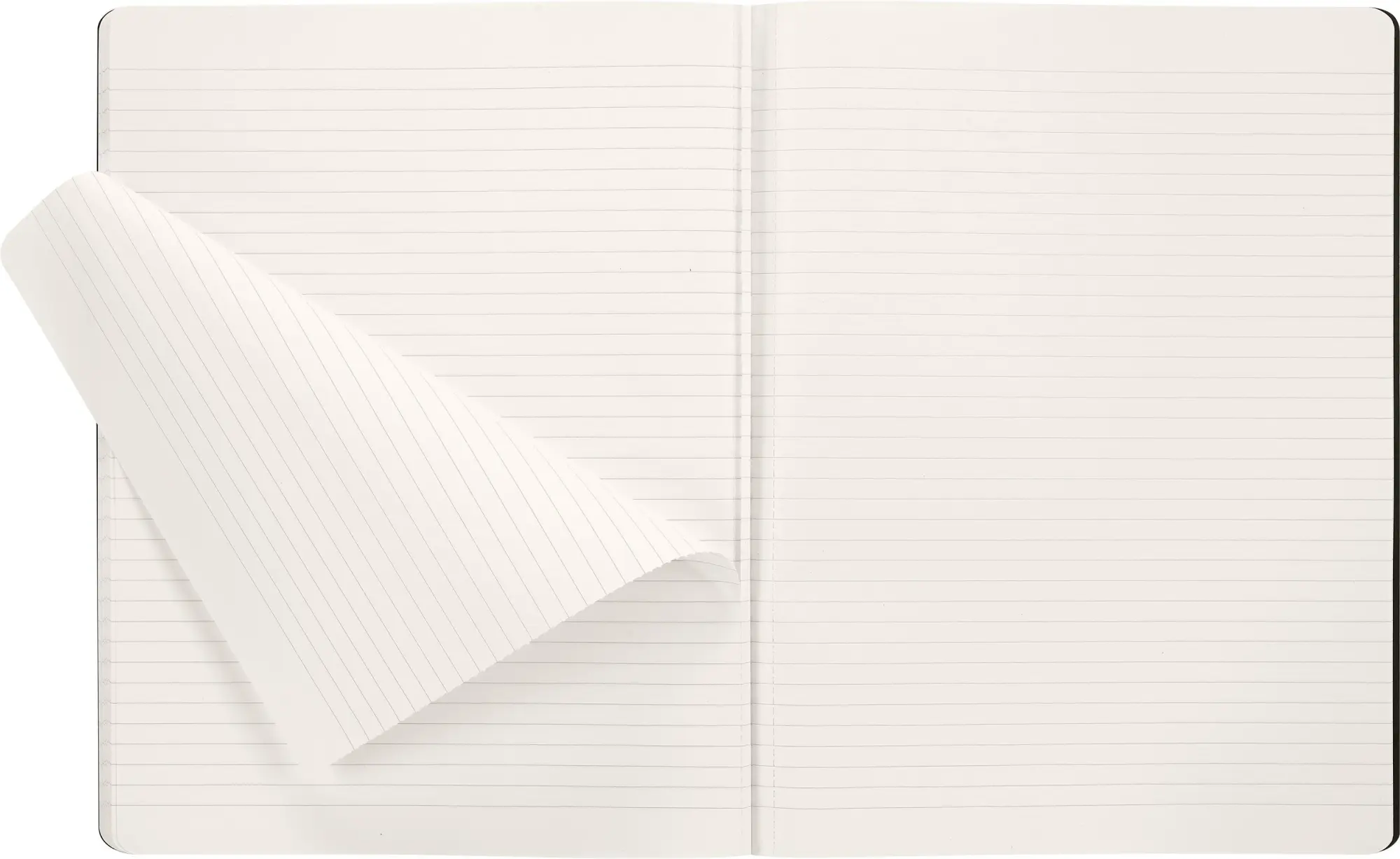 Bild: 8056999276256 | Moleskine Sakura Cahier, XL, weicher Einband, gemischt (liniert,...