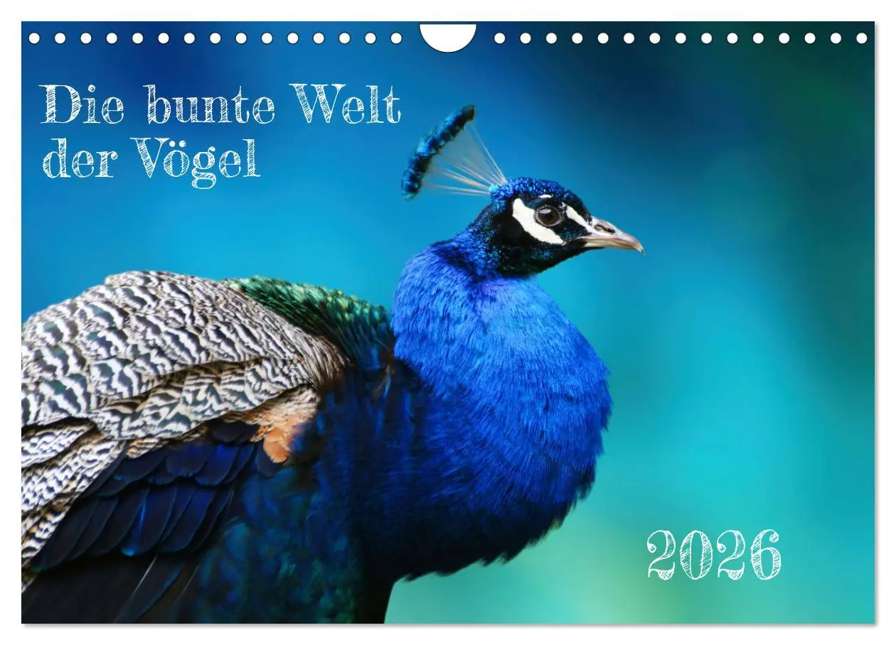 Cover: 9783457376256 | Die bunte Welt der Vögel (Wandkalender 2026 DIN A4 quer), CALVENDO...