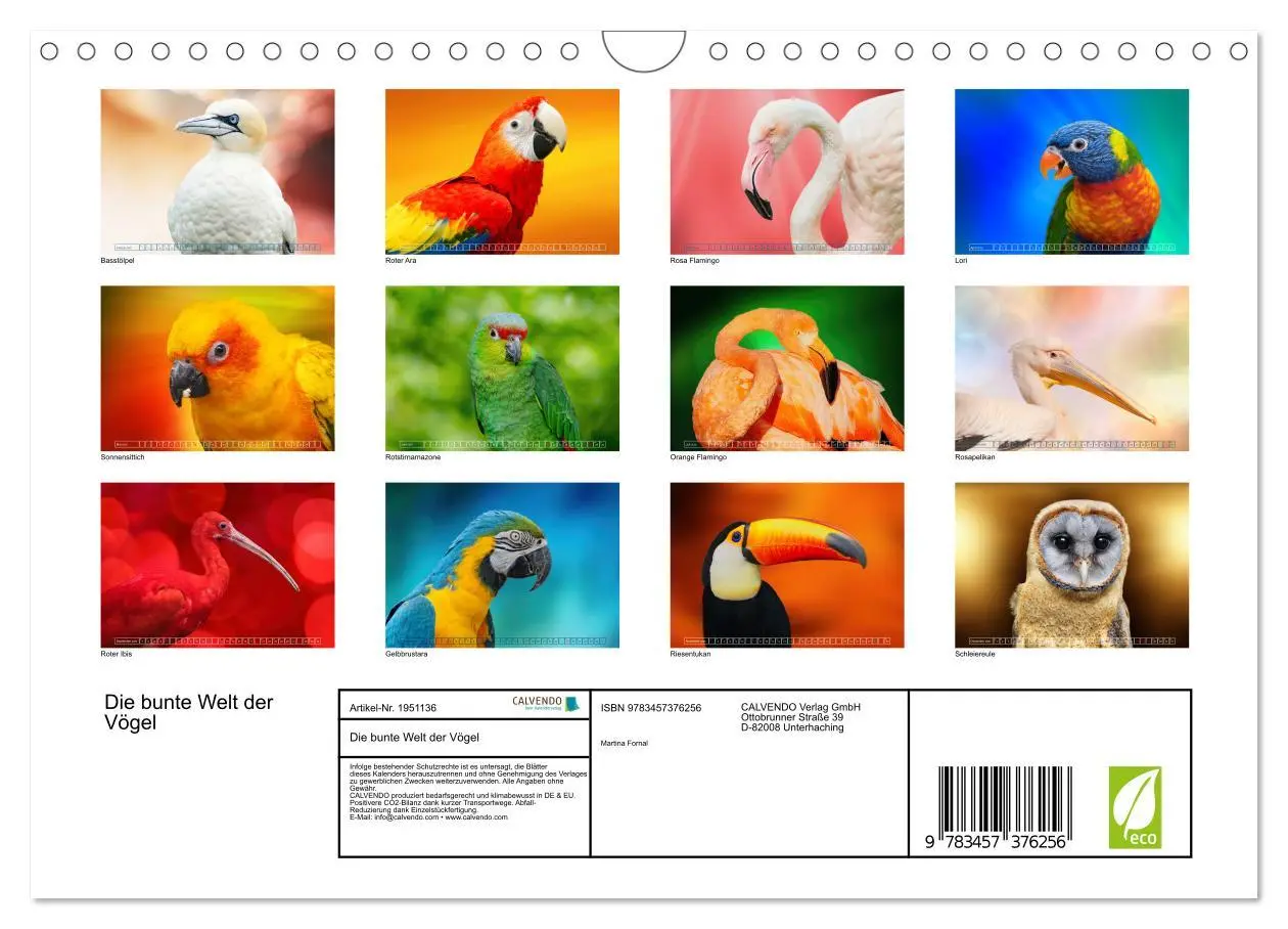 Bild: 9783457376256 | Die bunte Welt der Vögel (Wandkalender 2026 DIN A4 quer), CALVENDO...