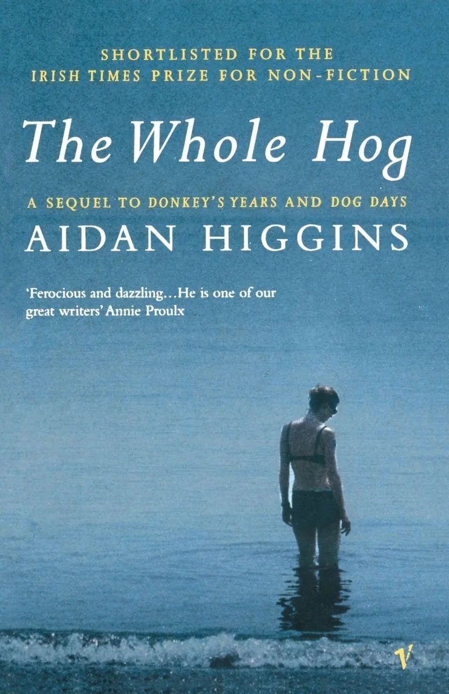 Cover: 9780099286356 | The Whole Hog | Aidan Higgins | Taschenbuch | Englisch | 2001