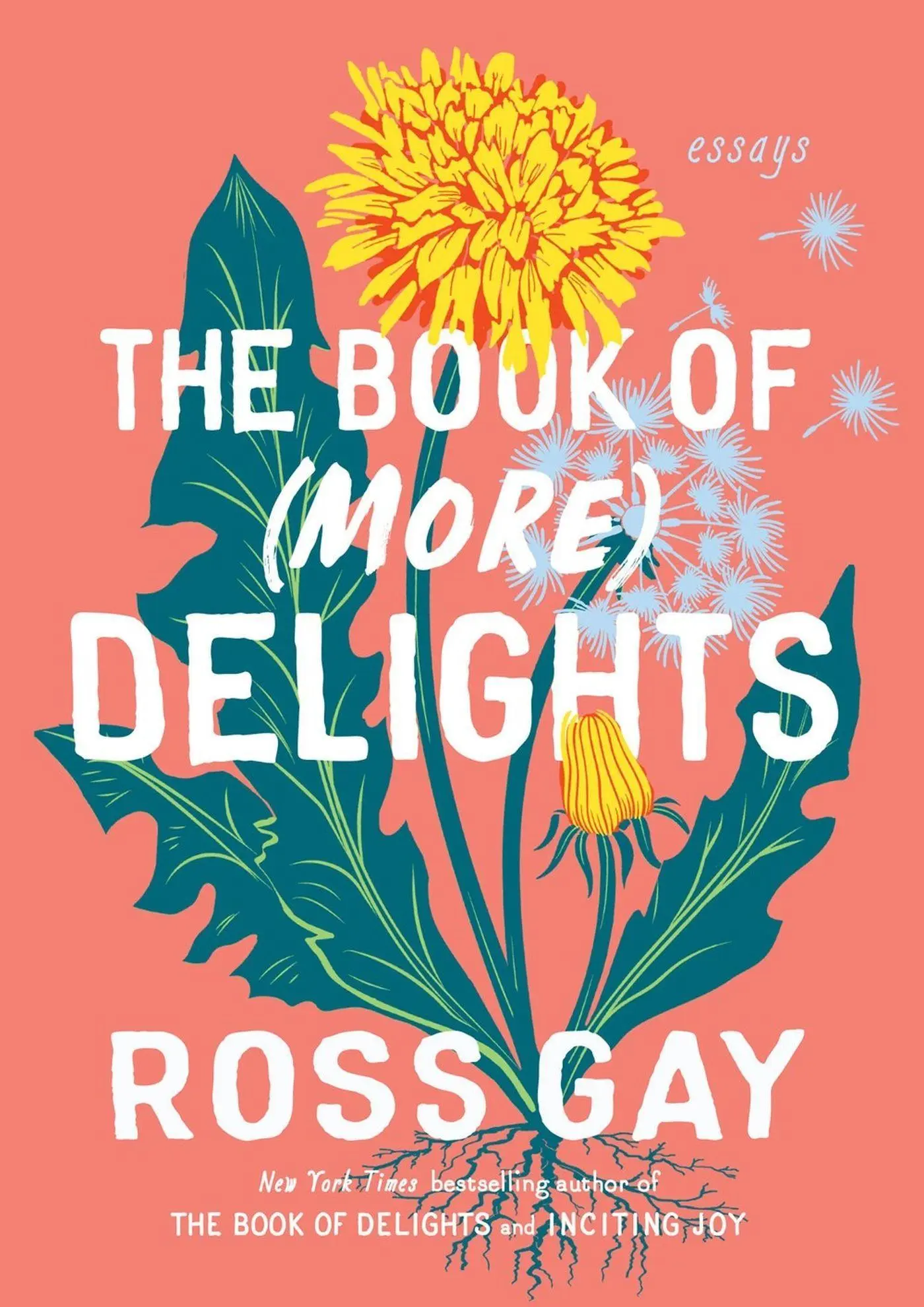 Cover: 9781643756356 | The Book of (More) Delights | Essays | Ross Gay | Taschenbuch | 2024