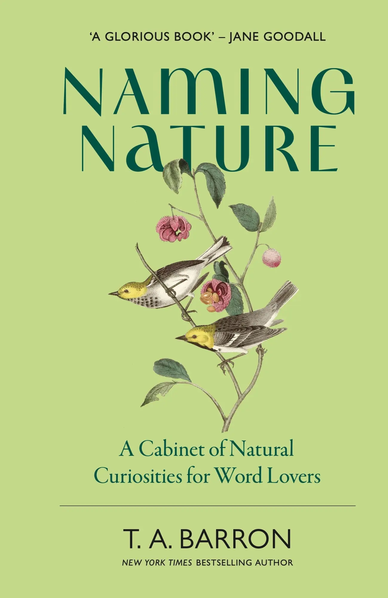 Cover: 9781917226356 | Naming Nature | A Cabinet of Natural Curiosities for Word Lovers