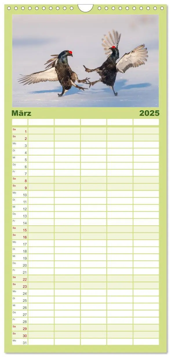 Bild: 9783457126356 | Familienplaner 2025 - Emotionale Momente: Wild und Jagd. mit 5...